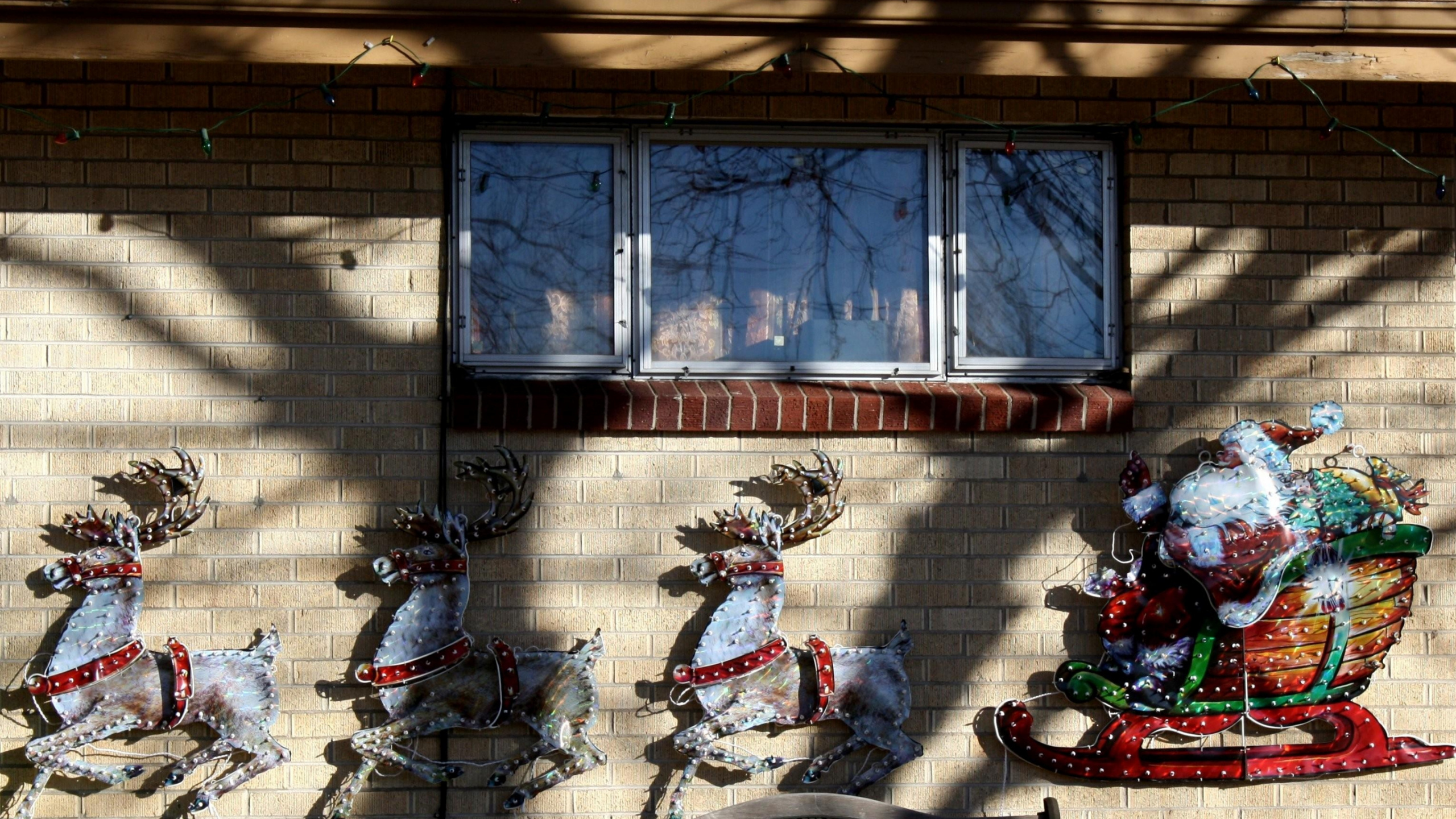 Обои Северный олень, елка, сани, гирлянда, отдых в разрешении 2560x1440