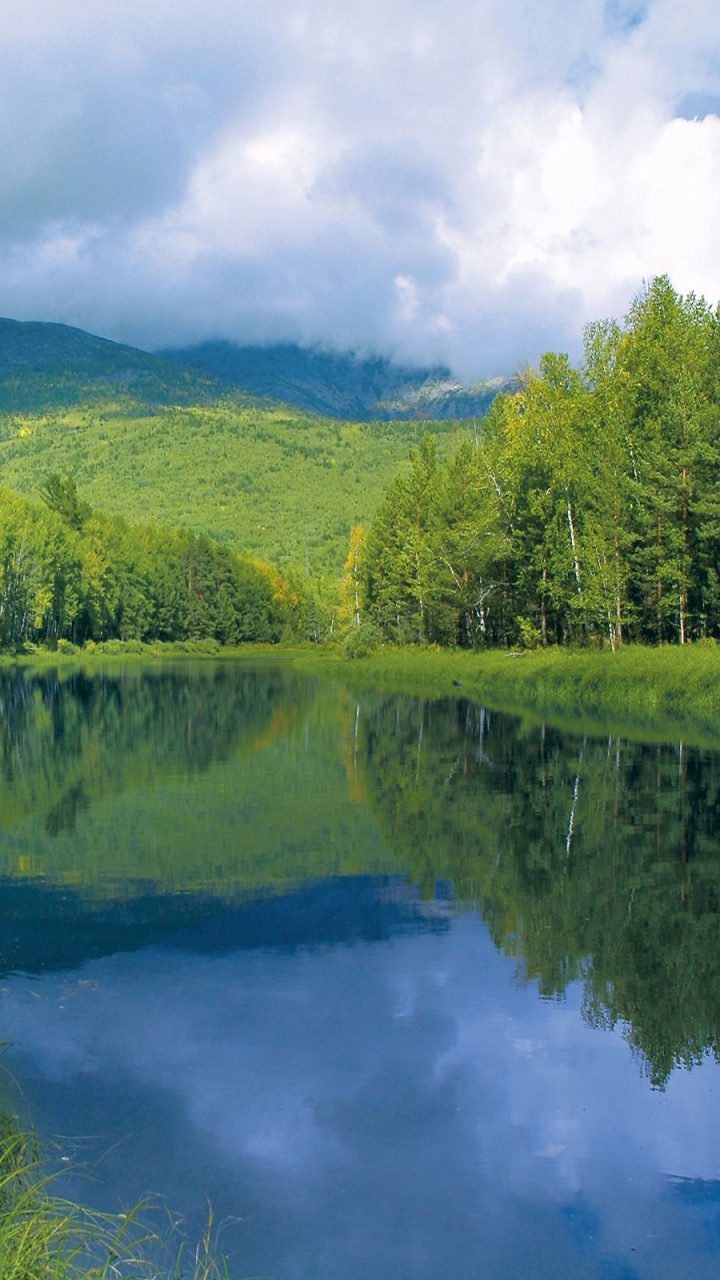 Обои отражение, природа, гидроресурсы, вода, природный заповедник в разрешении 720x1280