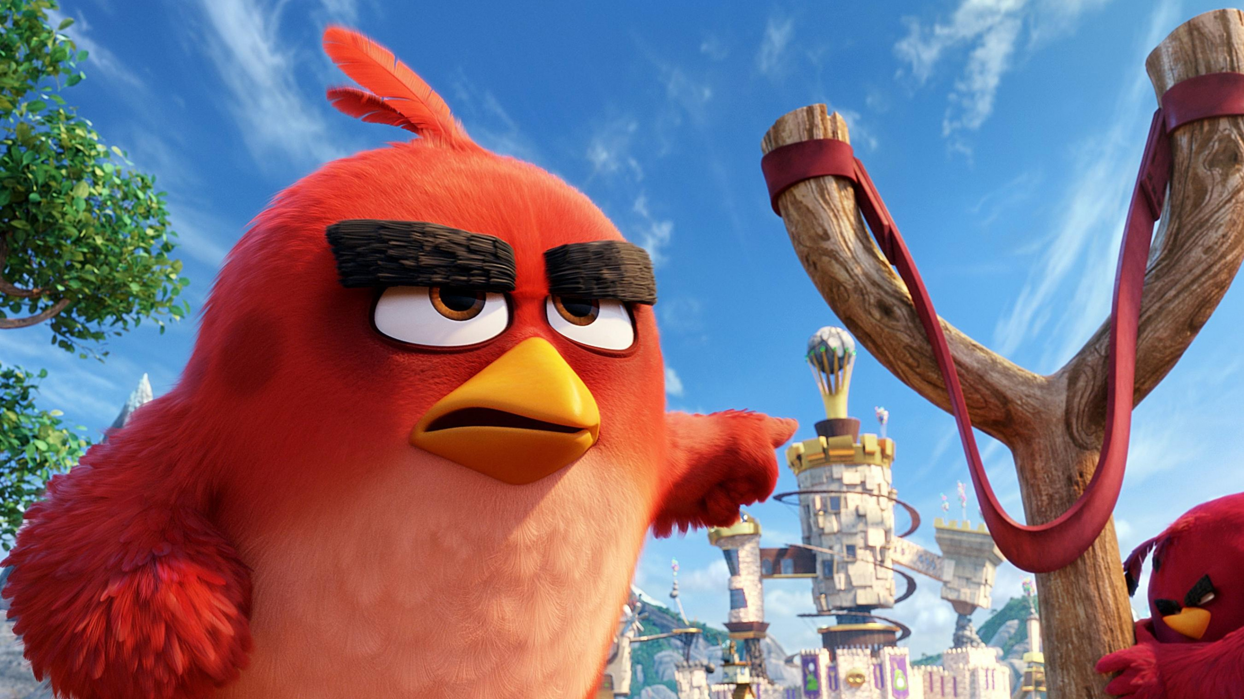Обои The Angry Birds Movie HD в разрешении 2560x1440