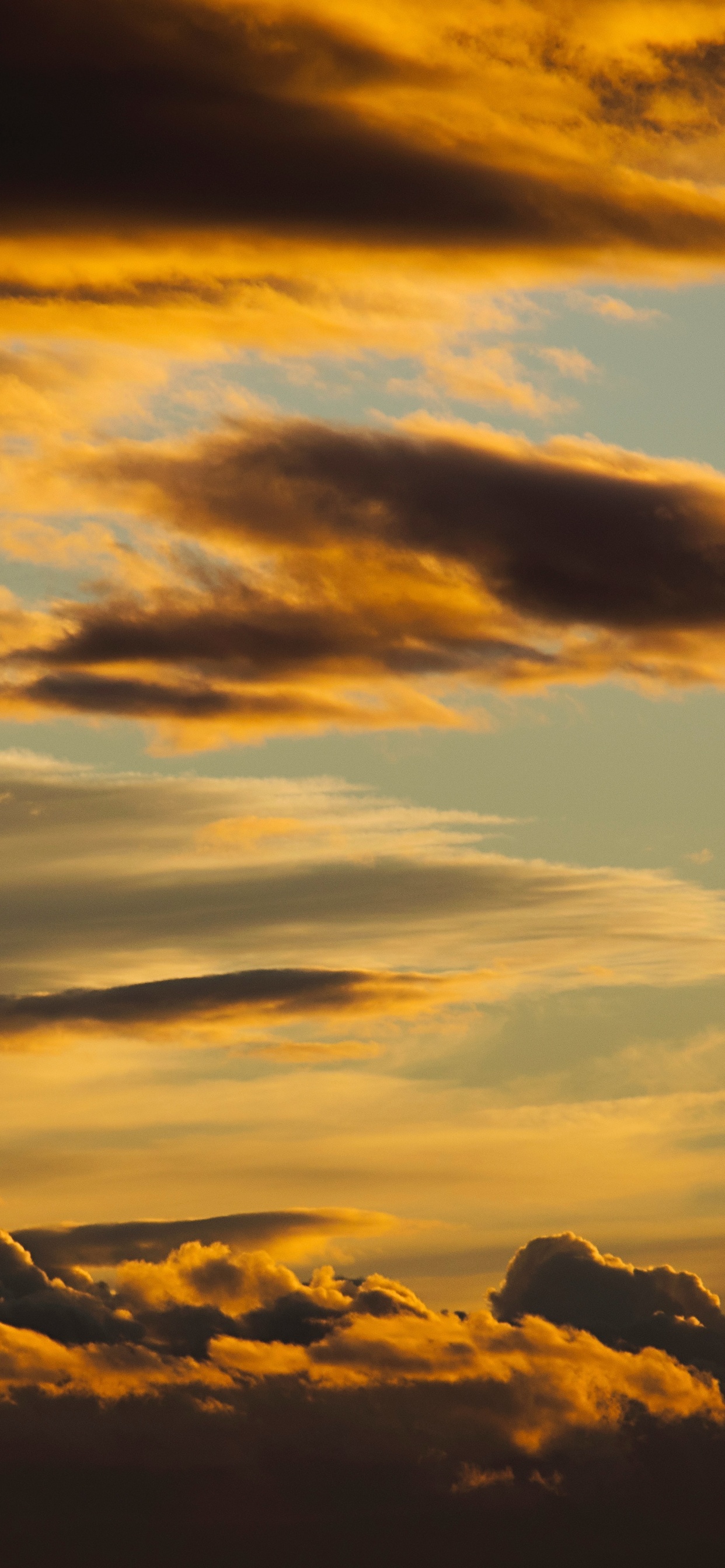 Обои закат, послесвечение, облако, дневное время, атмосфера в разрешении 1242x2688