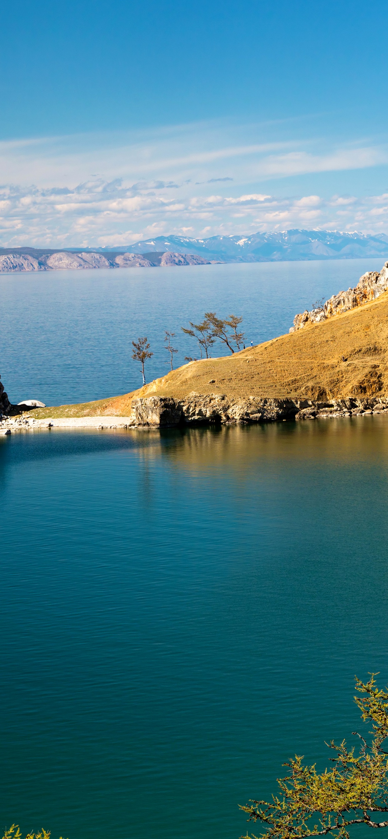 Обои побережье, дерево, отражение, озеро, гора в разрешении 1242x2688