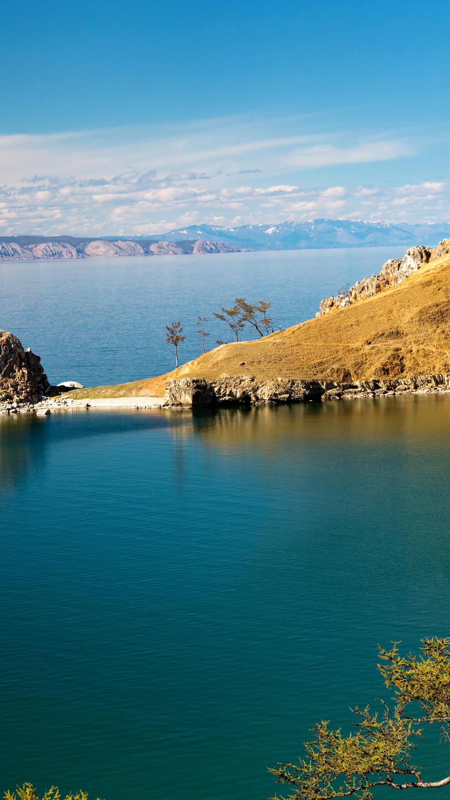 Обои побережье, дерево, отражение, озеро, гора в разрешении 1440x2560