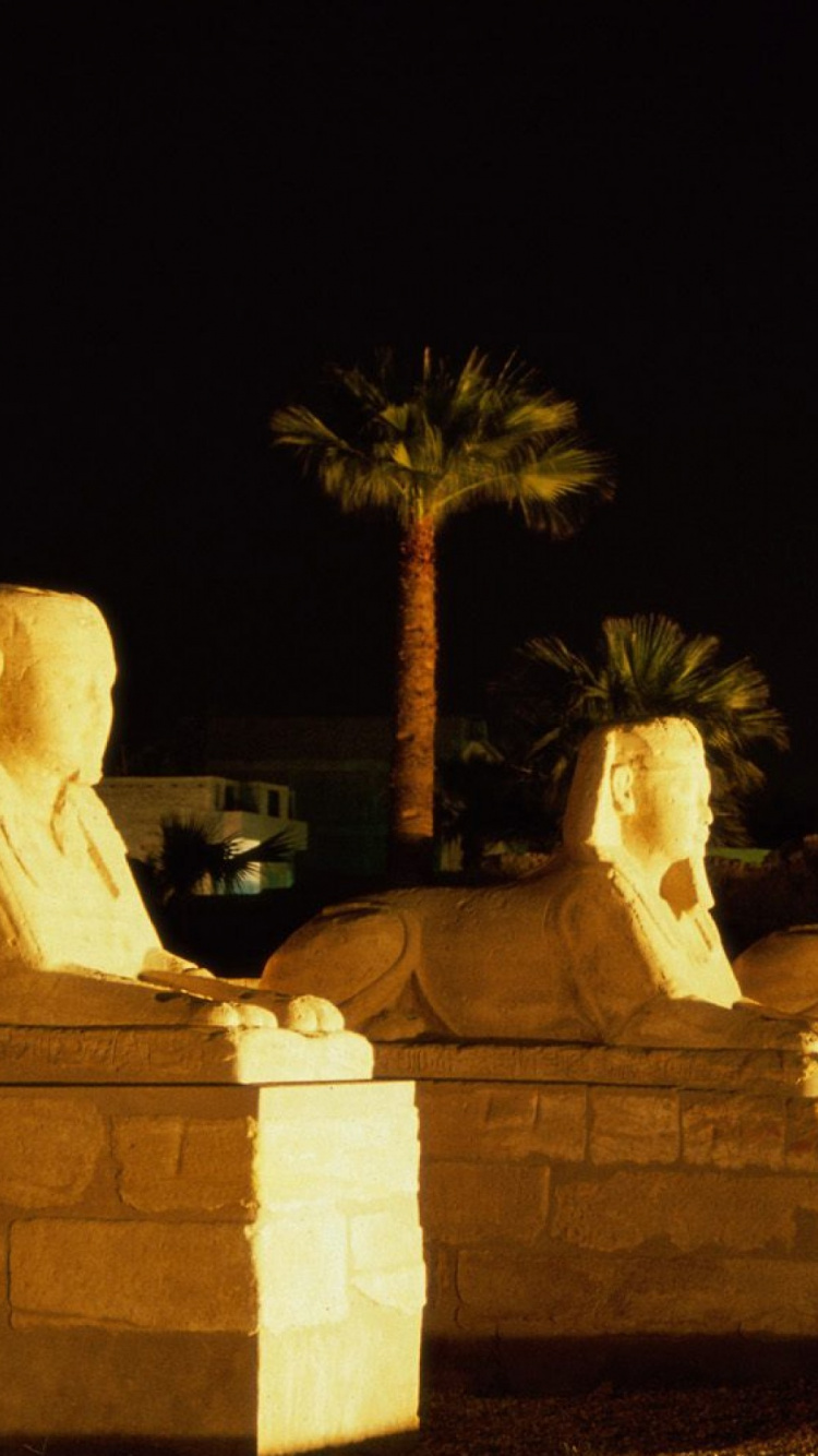 Обои статуя, ночь, историческое место, храм, освещение в разрешении 750x1334