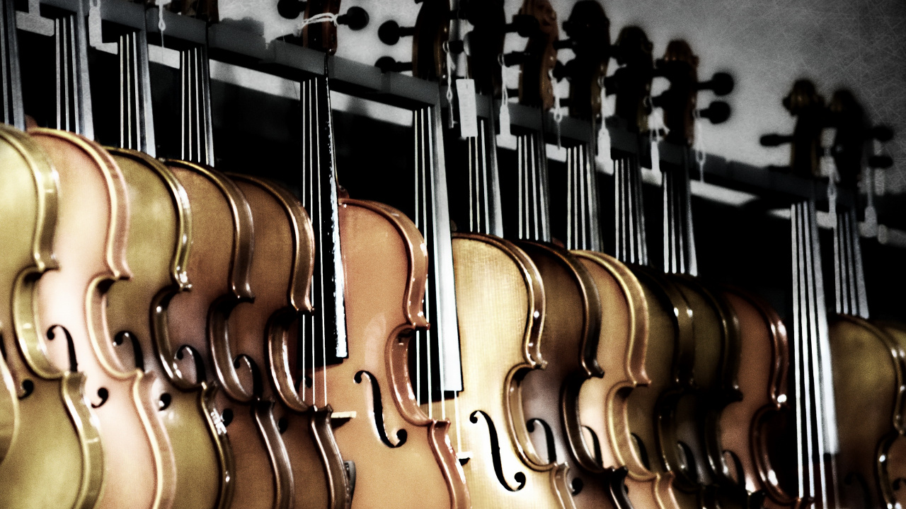 Обои скрипка, басгитара, струнный инструмент, гитара, музыкальный инструмент в разрешении 1280x720