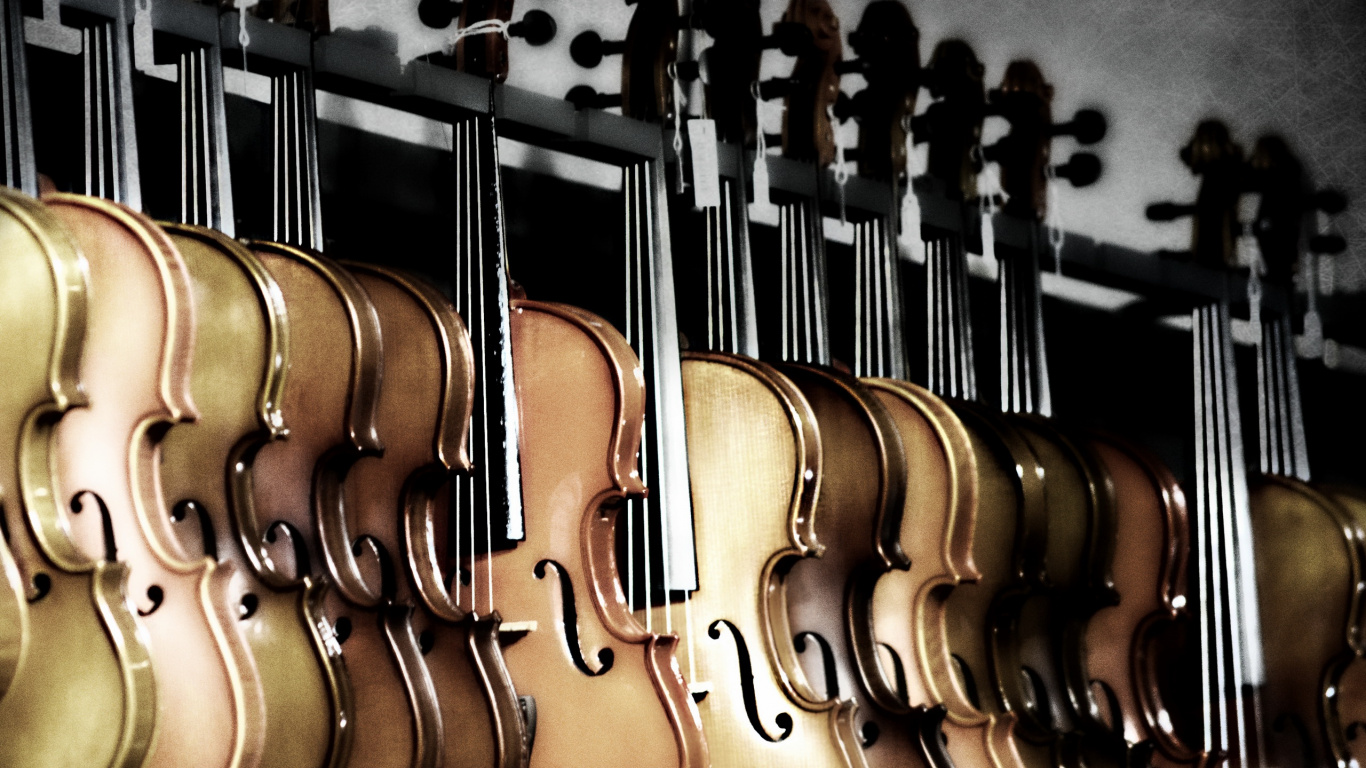 Обои скрипка, басгитара, струнный инструмент, гитара, музыкальный инструмент в разрешении 1366x768