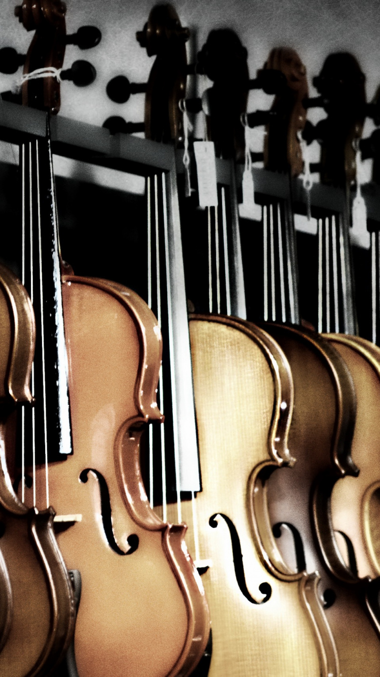 Обои скрипка, басгитара, струнный инструмент, гитара, музыкальный инструмент в разрешении 750x1334