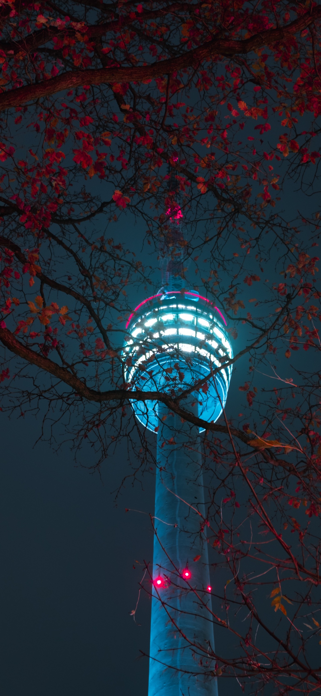 Обои синий, вода, дерево, архитектура, сфера в разрешении 1125x2436