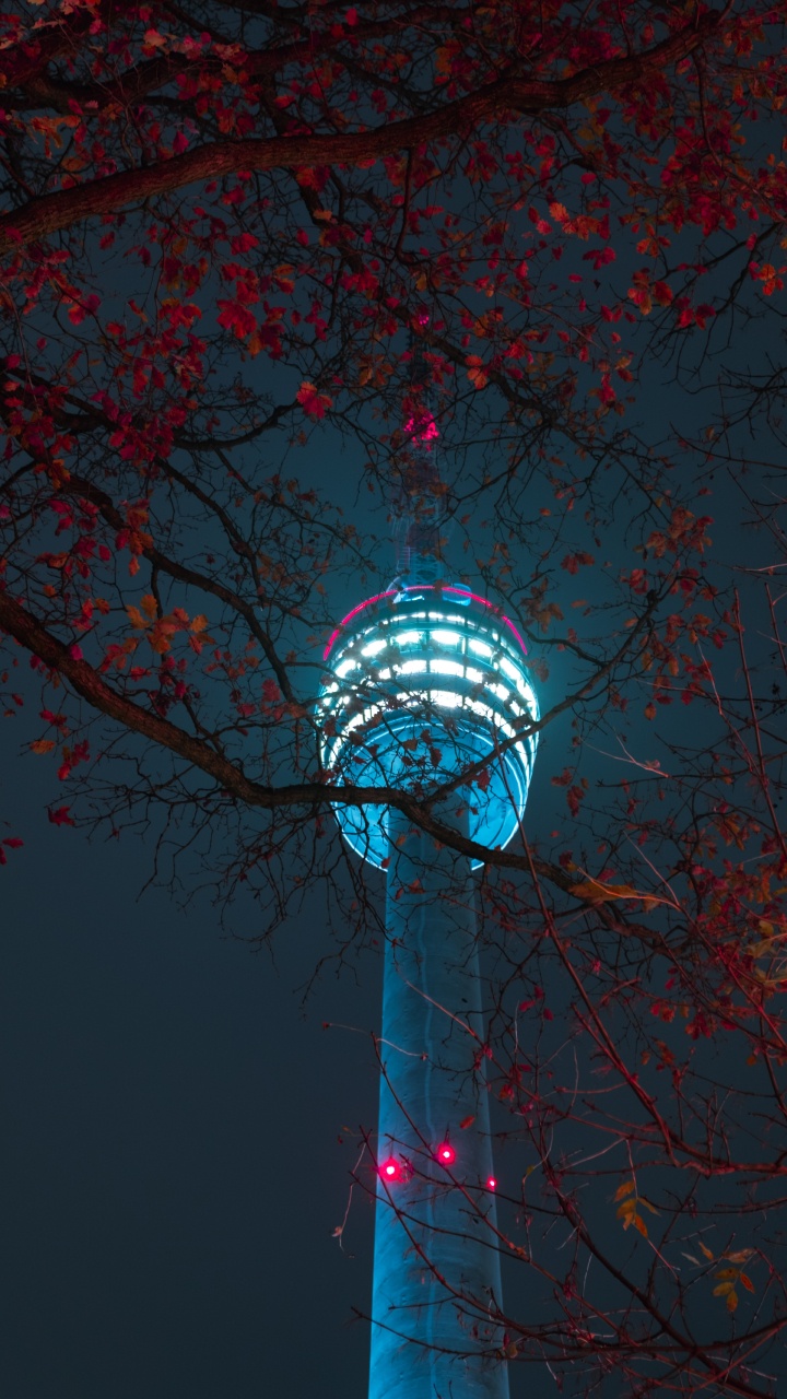 Обои синий, вода, дерево, архитектура, сфера в разрешении 720x1280