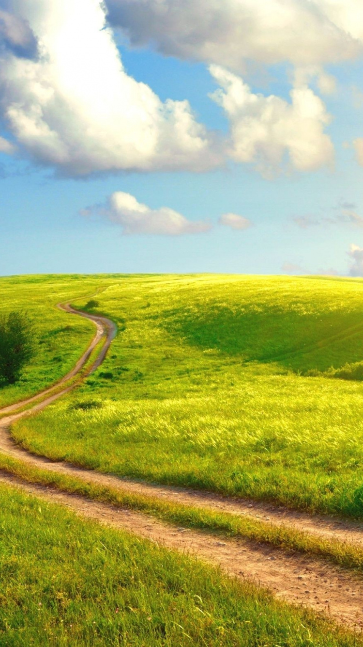 Обои сенокосное угодье, природа, поле, дорога, прерия в разрешении 750x1334