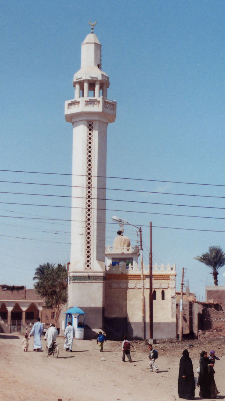 Обои историческое место, мечеть, здание, история, древняя история в разрешении 750x1334