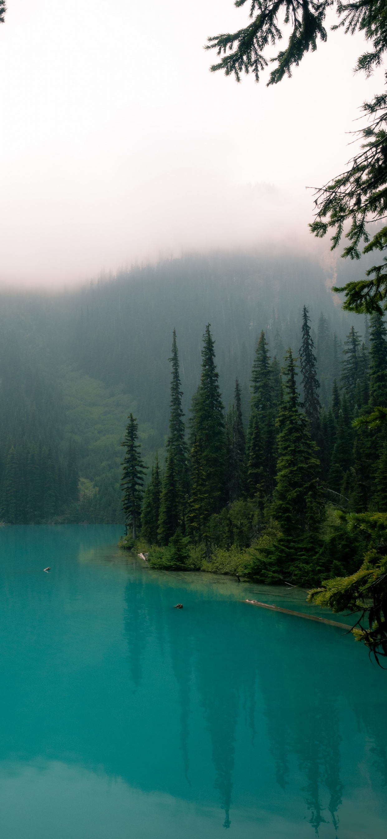 Обои водоем, природа, природный ландшафт, вода, гидроресурсы в разрешении 1242x2688