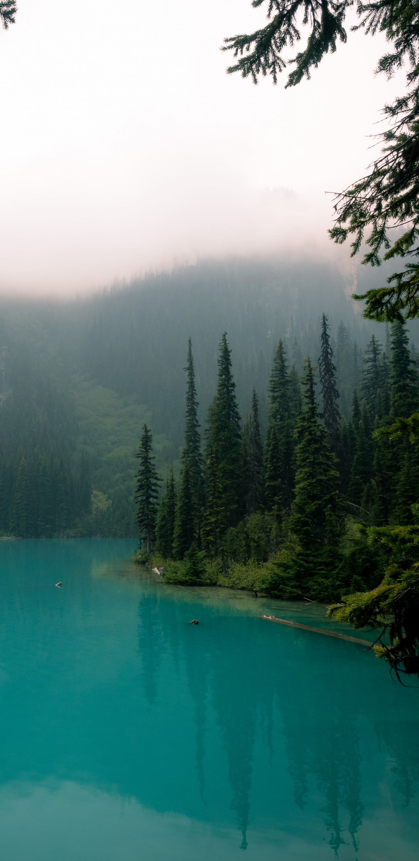 Обои водоем, природа, природный ландшафт, вода, гидроресурсы в разрешении 1440x2960