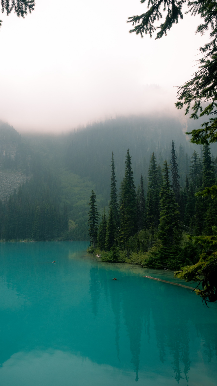 Обои водоем, природа, природный ландшафт, вода, гидроресурсы в разрешении 750x1334