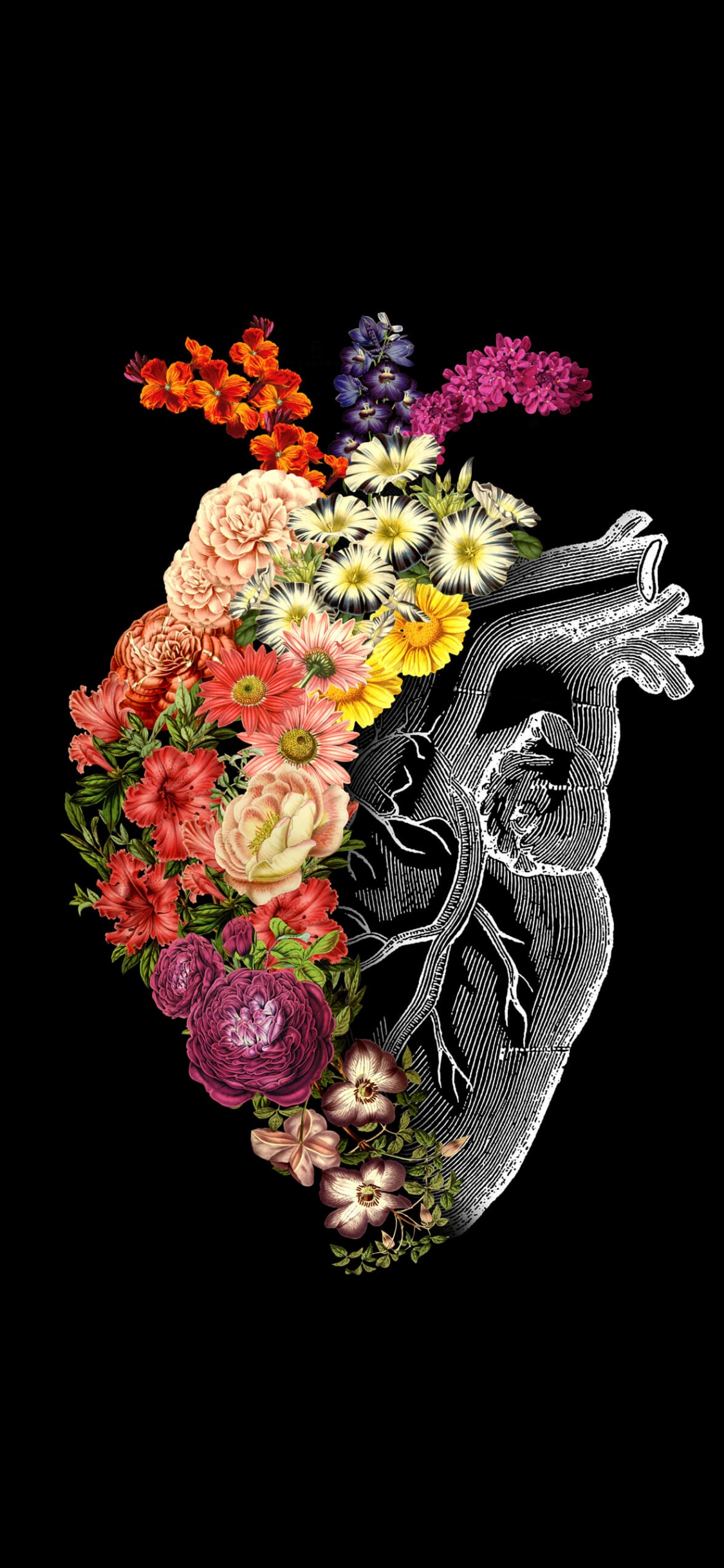 Обои цветок сердце искусство, арт, живопись, цветок, сердце в разрешении 1125x2436