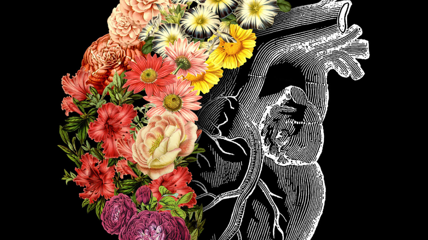 Обои цветок сердце искусство, арт, живопись, цветок, сердце в разрешении 1366x768