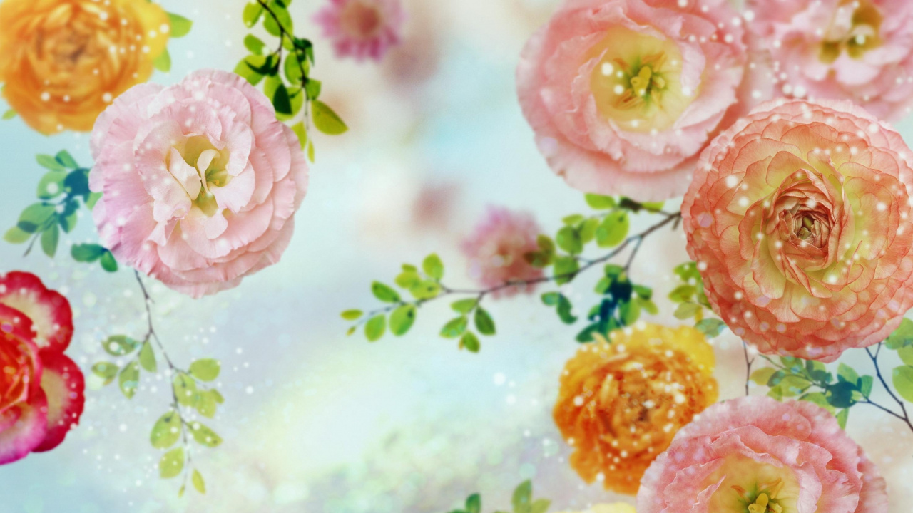 Обои цветок, акварельные краски, розовый, лепесток, Роза в разрешении 1280x720