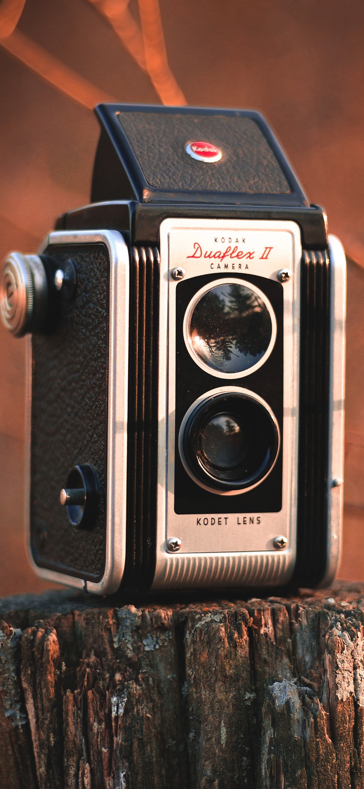 Обои камера, оптика камеры, дерево, древесина, цифровой фотоаппарат в разрешении 1242x2688