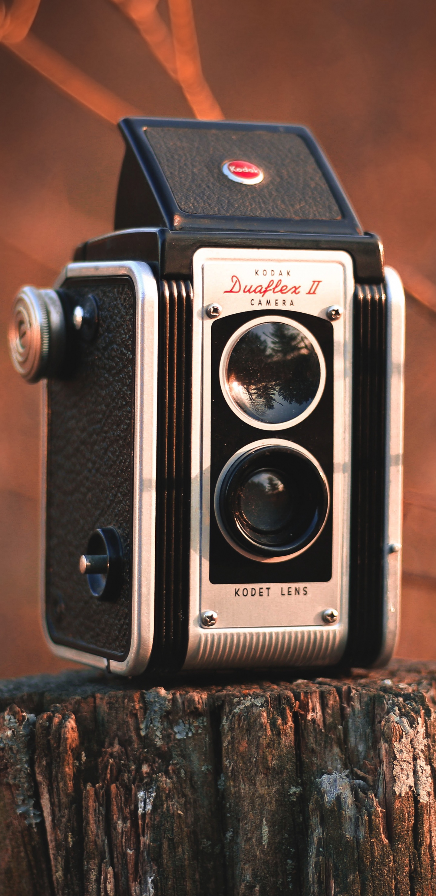 Обои камера, оптика камеры, дерево, древесина, цифровой фотоаппарат в разрешении 1440x2960