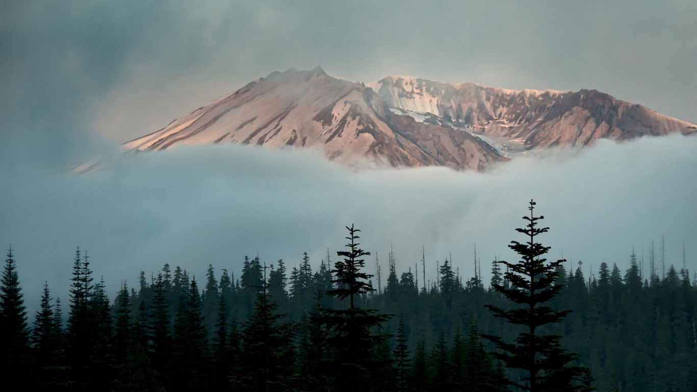 Обои снег, горный рельеф, дикая местность, дерево, горный хребет в разрешении 1366x768