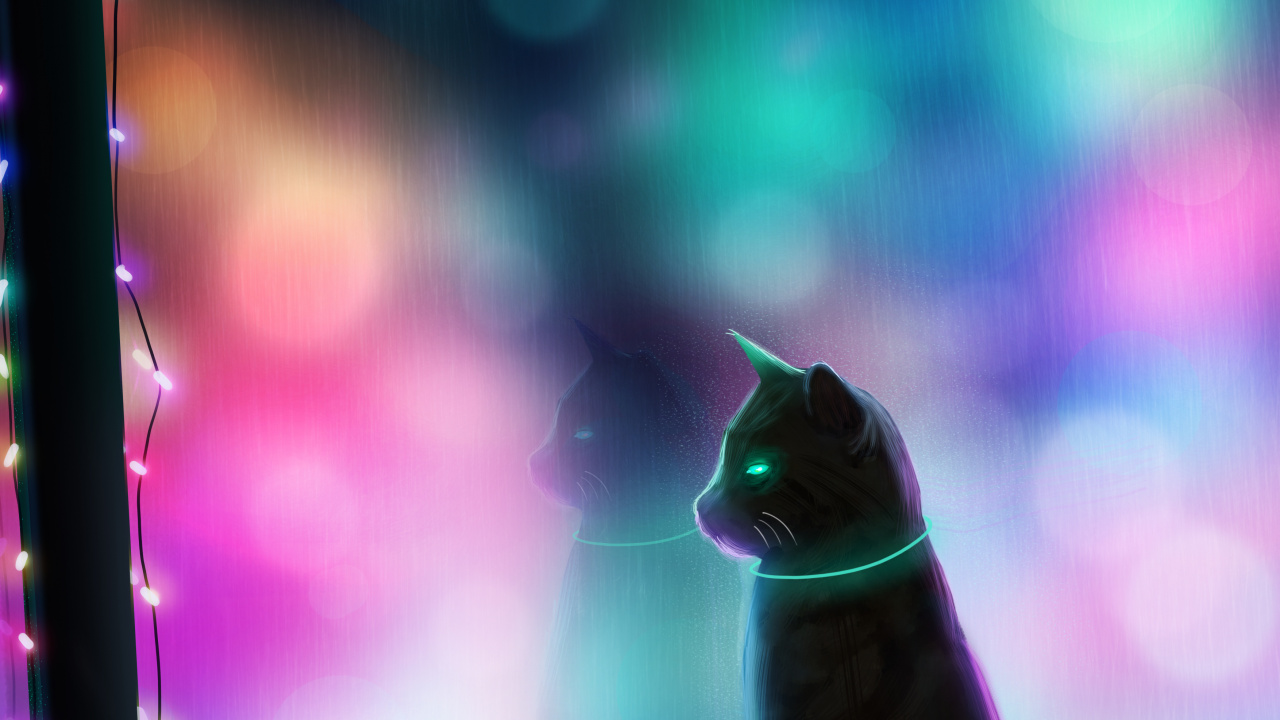 Обои кот, арт, свет, освещение, Визуальный эффект освещения в разрешении 1280x720