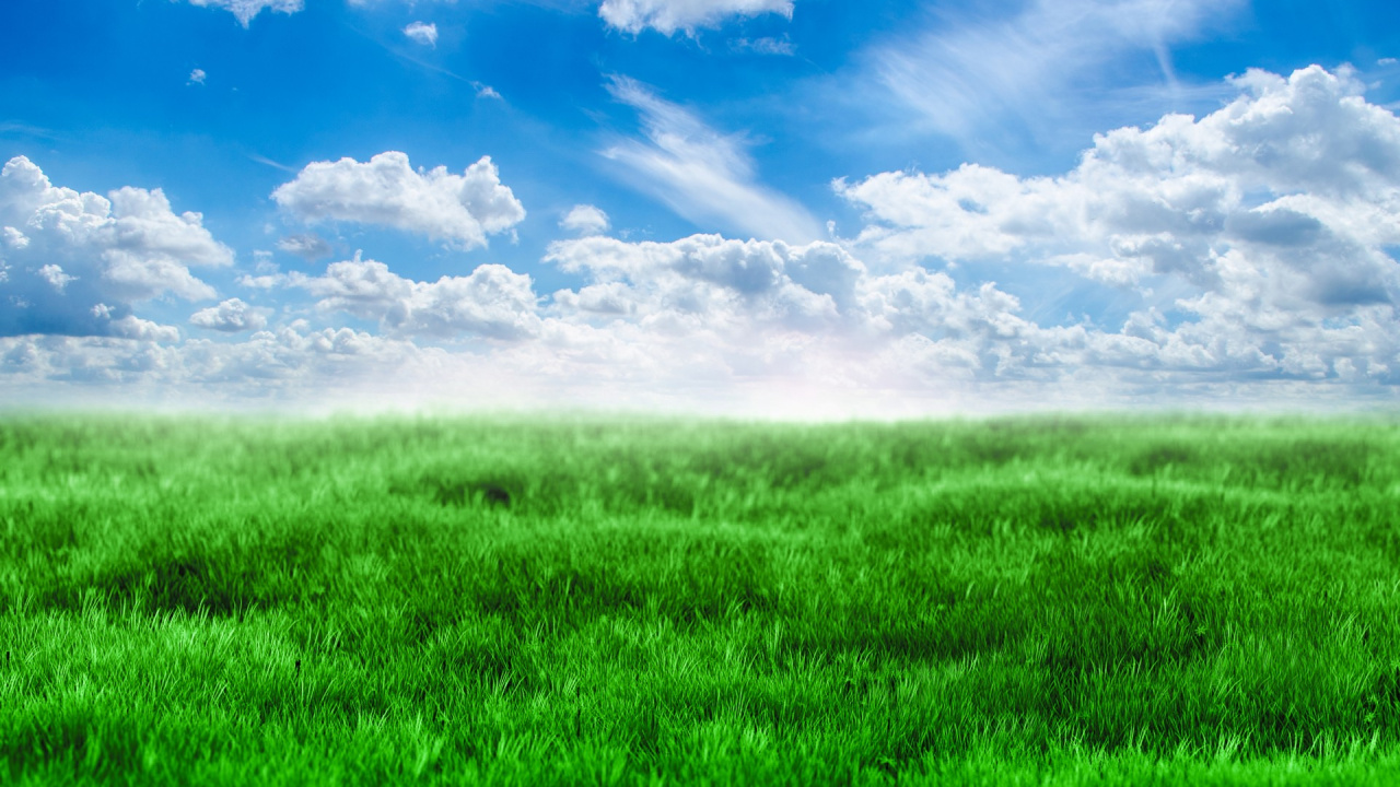 Обои зеленый, синий, сенокосное угодье, луг, прерия в разрешении 1280x720