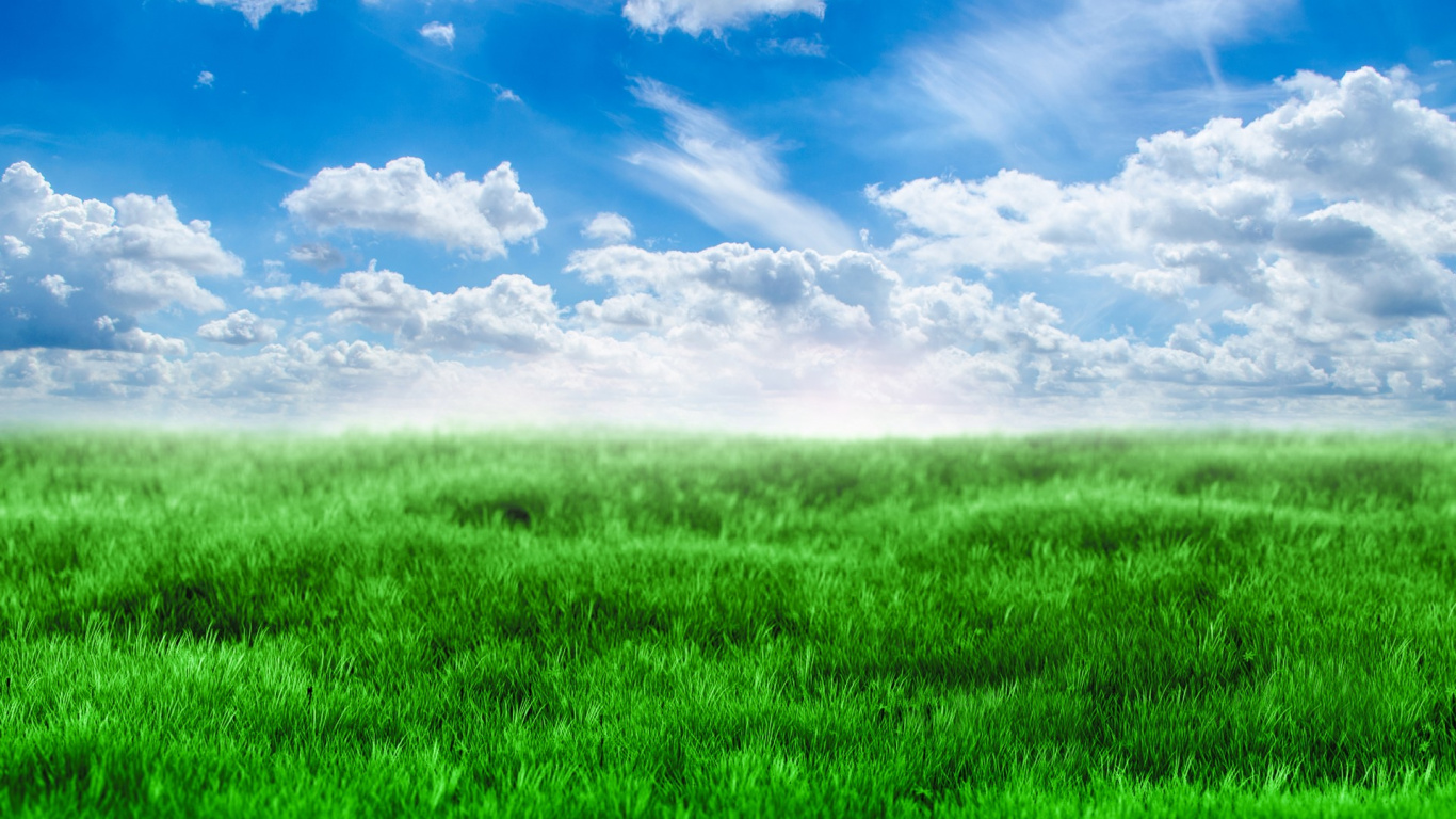 Обои зеленый, синий, сенокосное угодье, луг, прерия в разрешении 1366x768