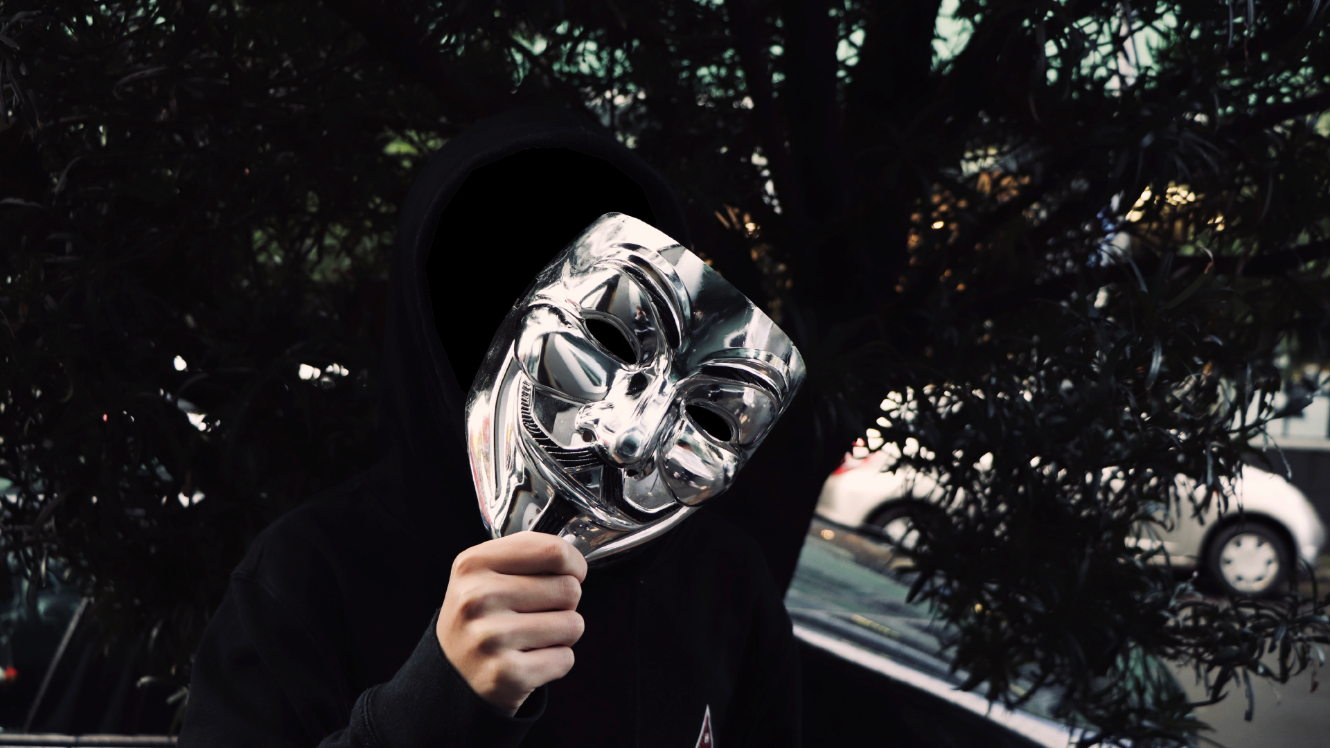 Обои черный, дерево, глаз, верхняя одежда, головной убор в разрешении 1920x1080