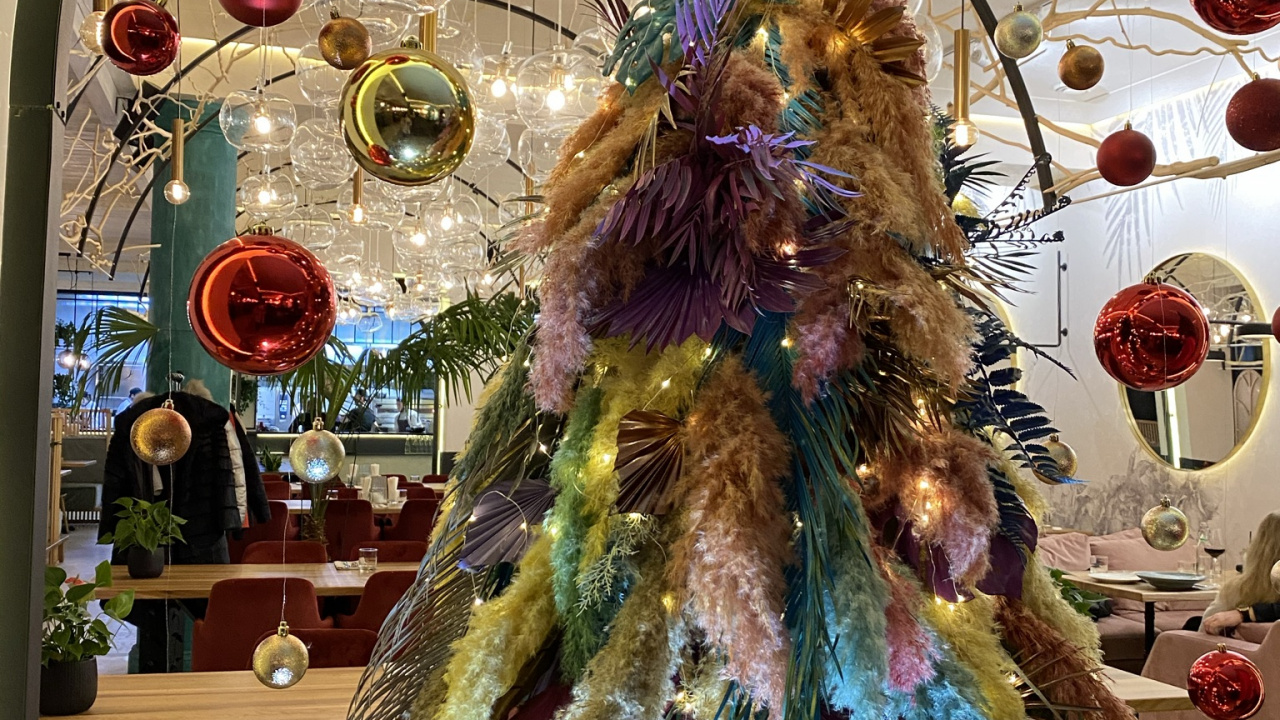 Обои елка, Рождественский день, дерево, наука, биология в разрешении 1280x720