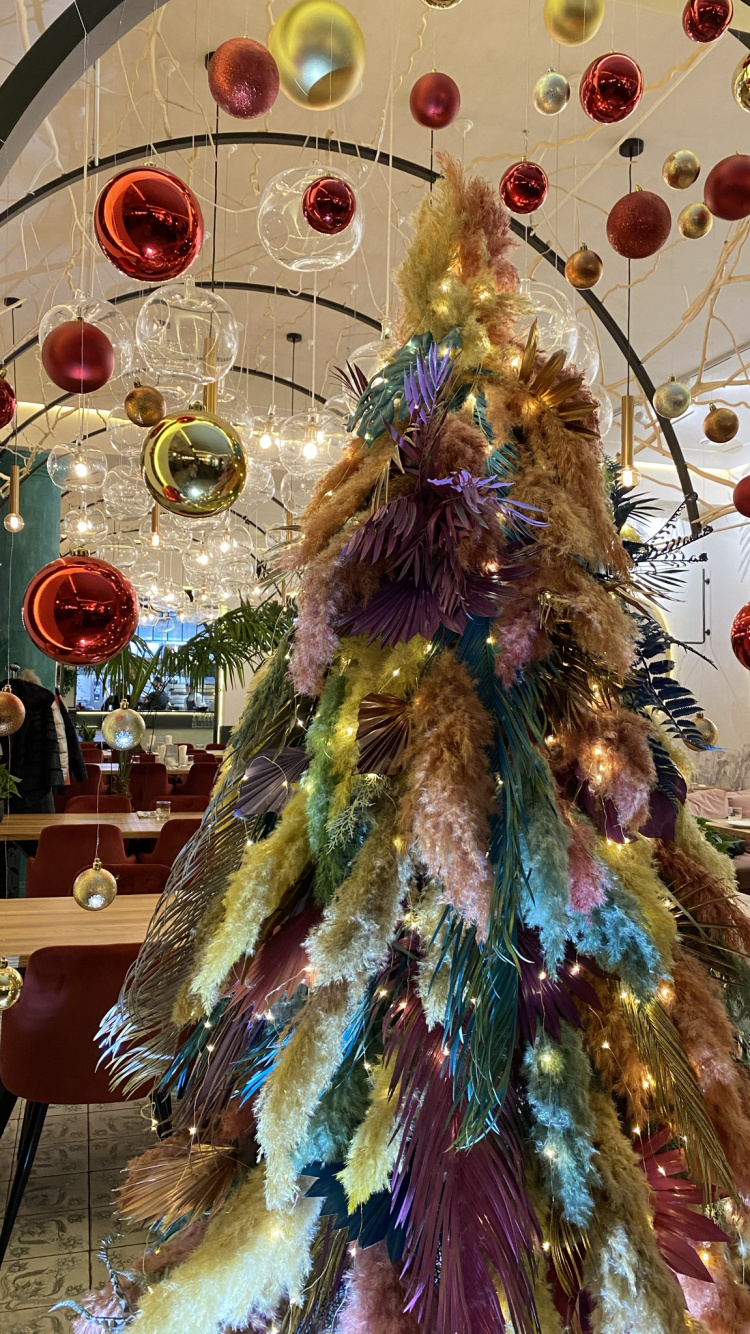 Обои елка, Рождественский день, дерево, наука, биология в разрешении 750x1334