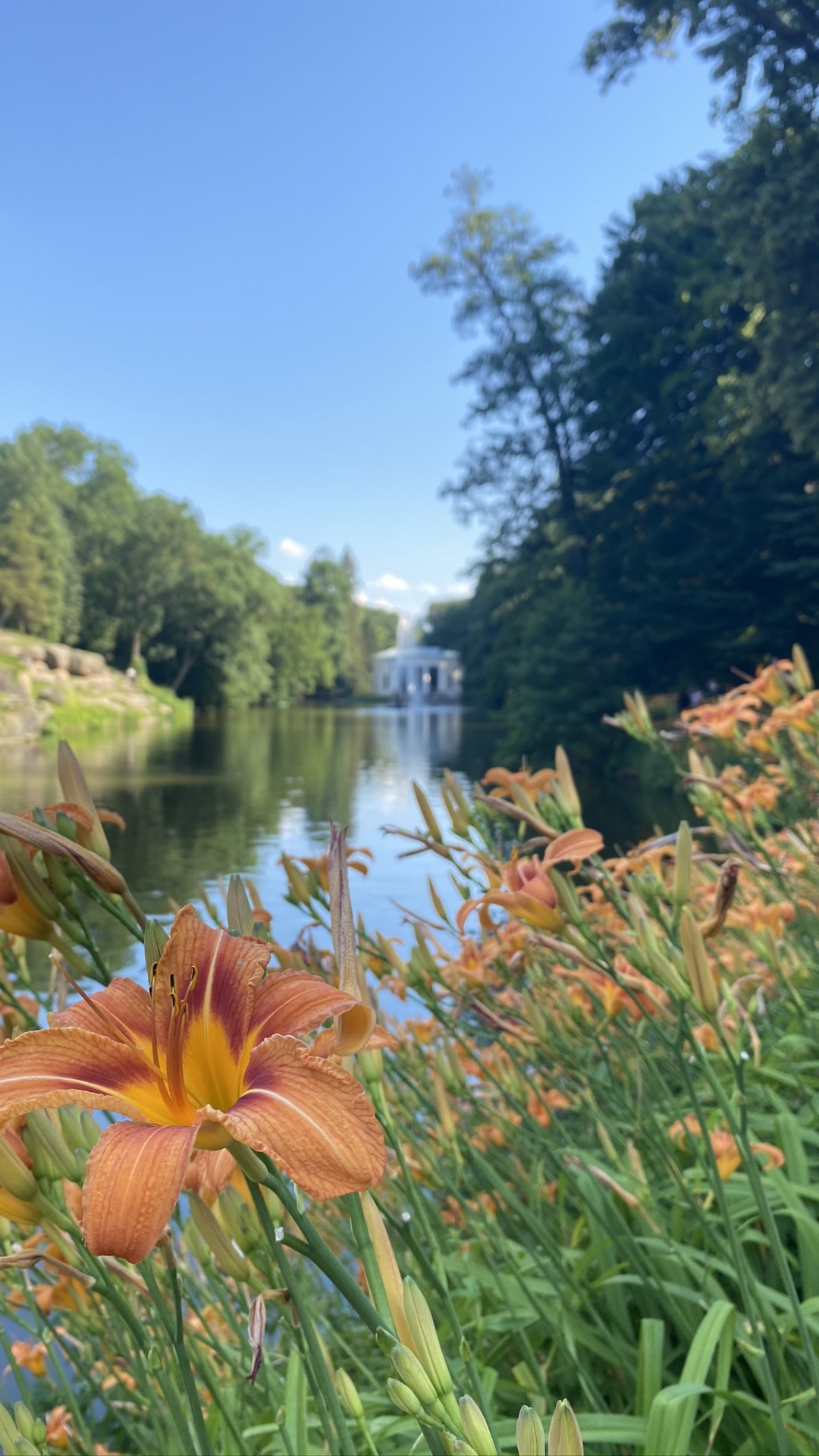 Обои природа, водоем, растение, природный ландшафт, водный путь в разрешении 1080x1920