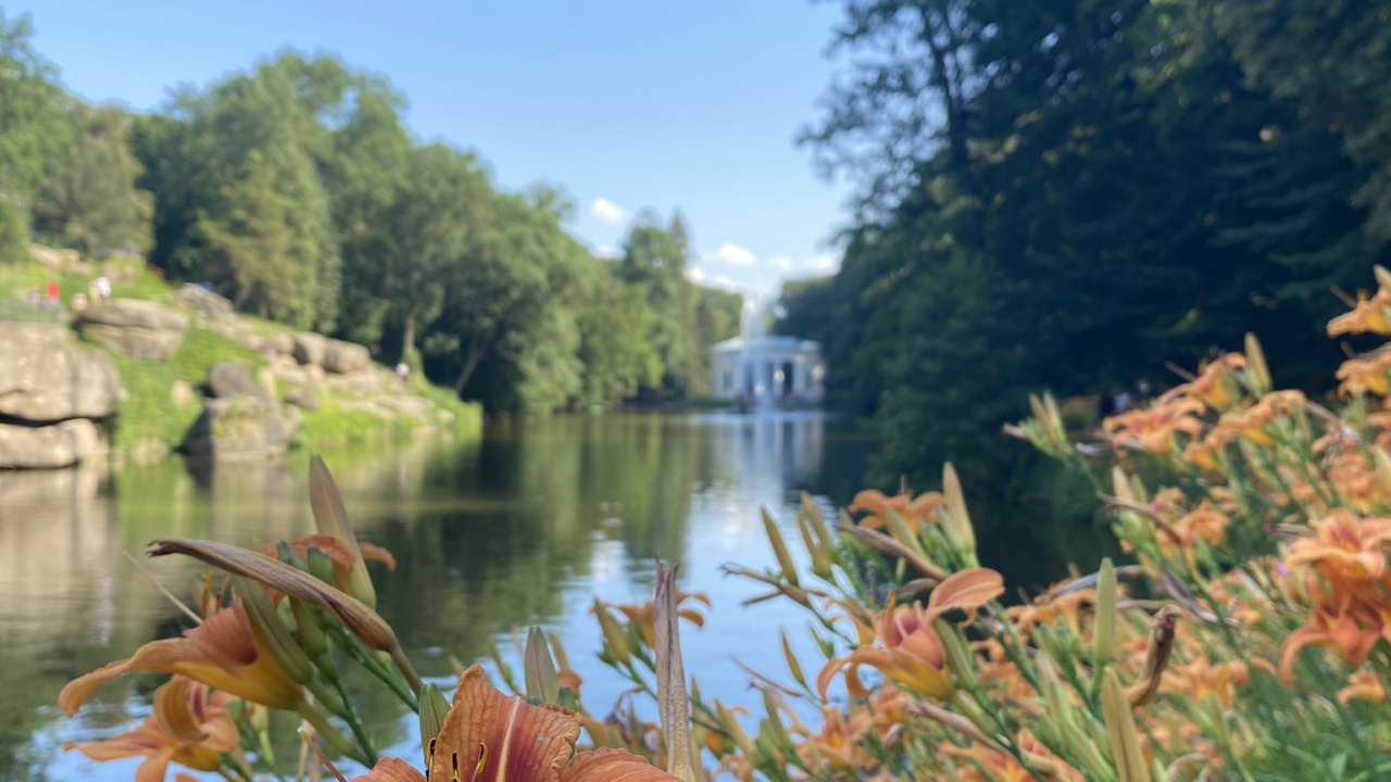 Обои природа, водоем, растение, природный ландшафт, водный путь в разрешении 1280x720