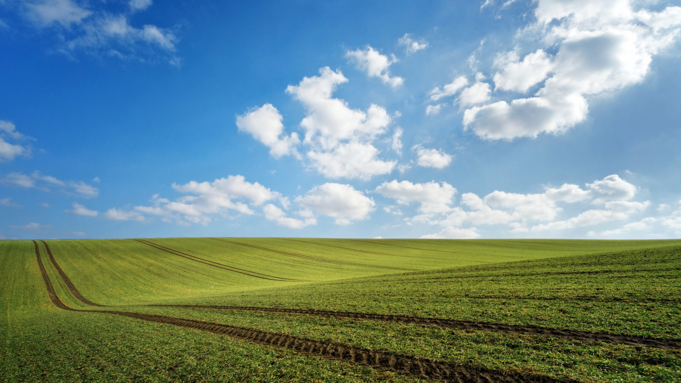 Обои сенокосное угодье, поле, природа, равнина, облако в разрешении 1366x768