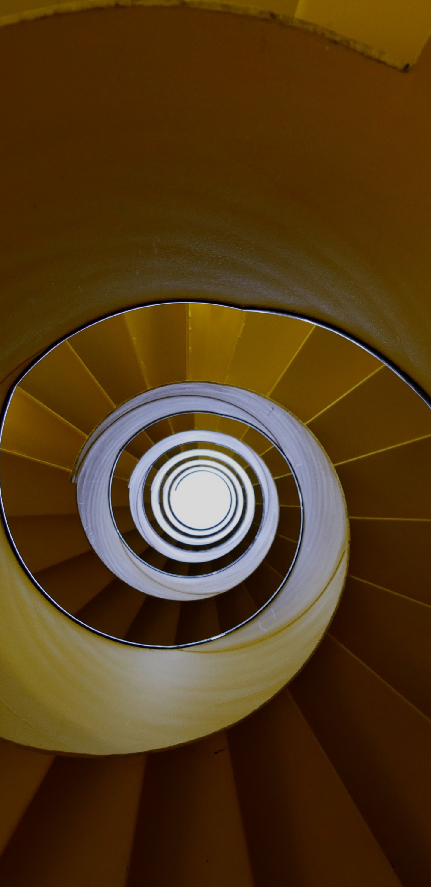 Обои архитектура, спираль, свет, желтый, круг в разрешении 1440x2960
