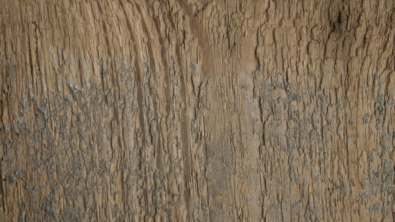 Обои текстура, древесина, этаж, стена, деревянный настил в разрешении 1366x768