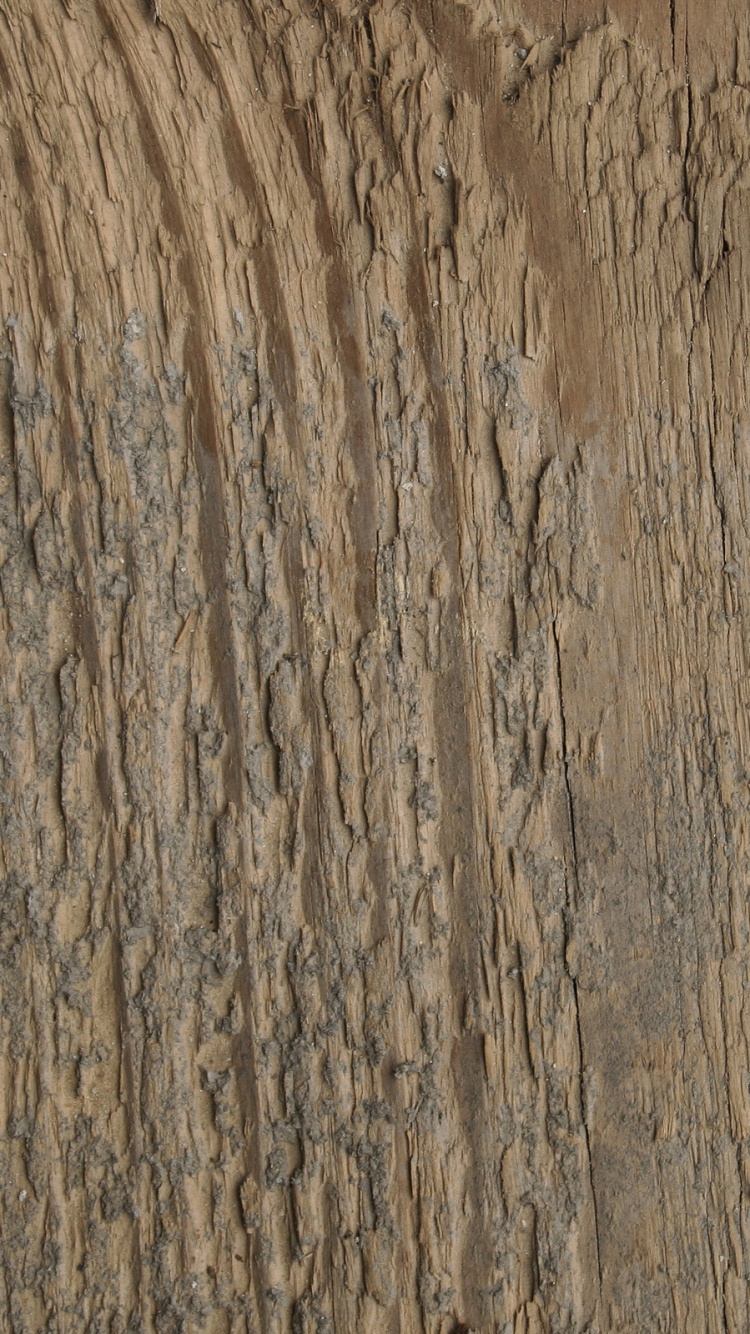 Обои текстура, древесина, этаж, стена, деревянный настил в разрешении 750x1334