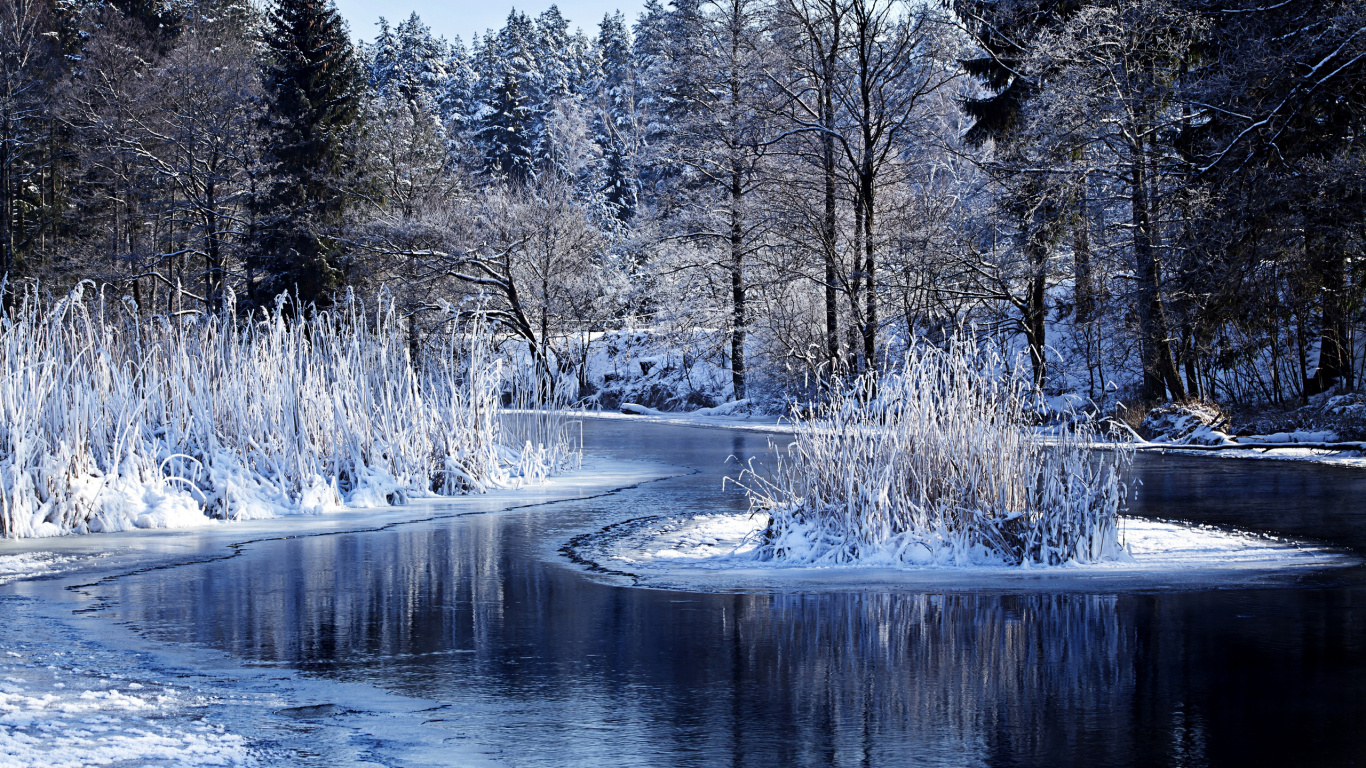 Обои зима, снег, природа, вода, замораживание в разрешении 1366x768