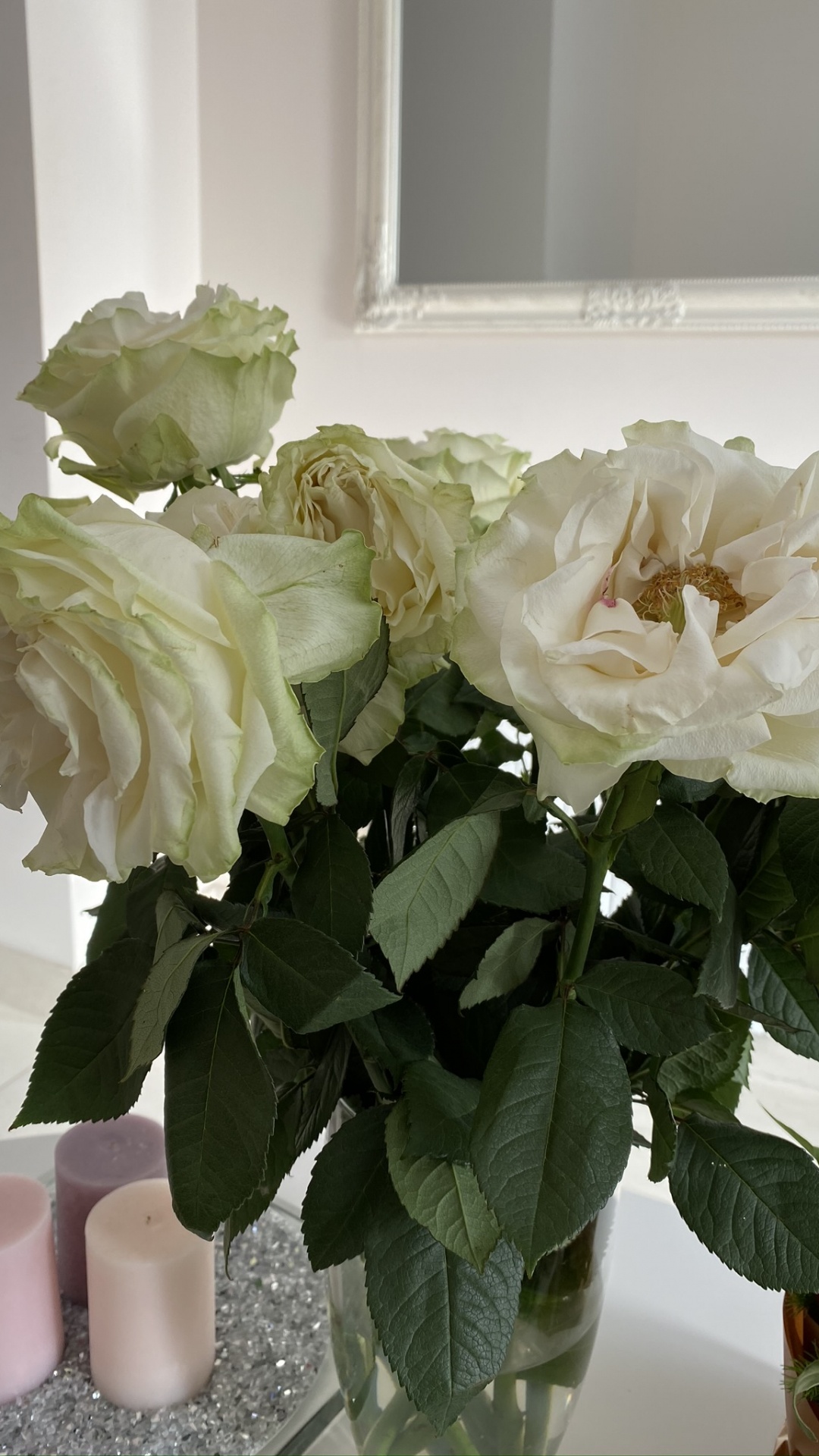 Обои срезанные цветы, цветочный дизайн, сад роз, лепесток, цветок в разрешении 1080x1920