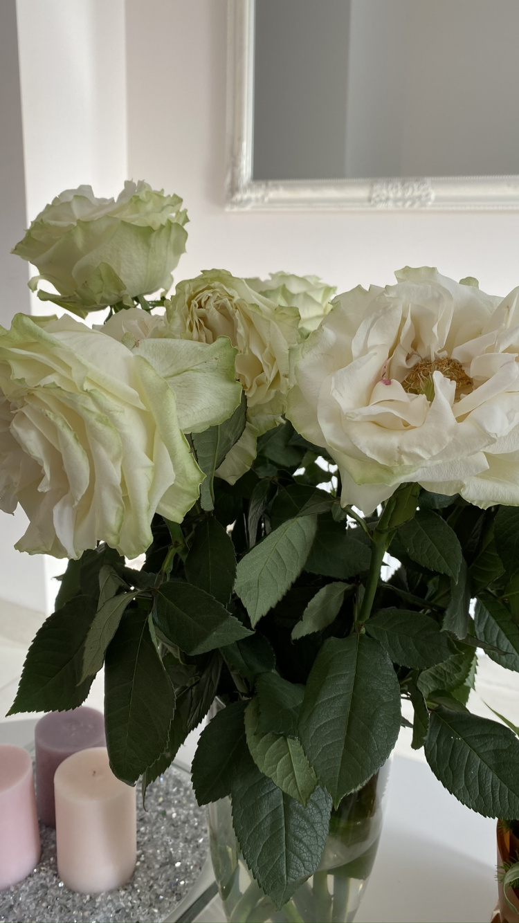 Обои срезанные цветы, цветочный дизайн, сад роз, лепесток, цветок в разрешении 750x1334