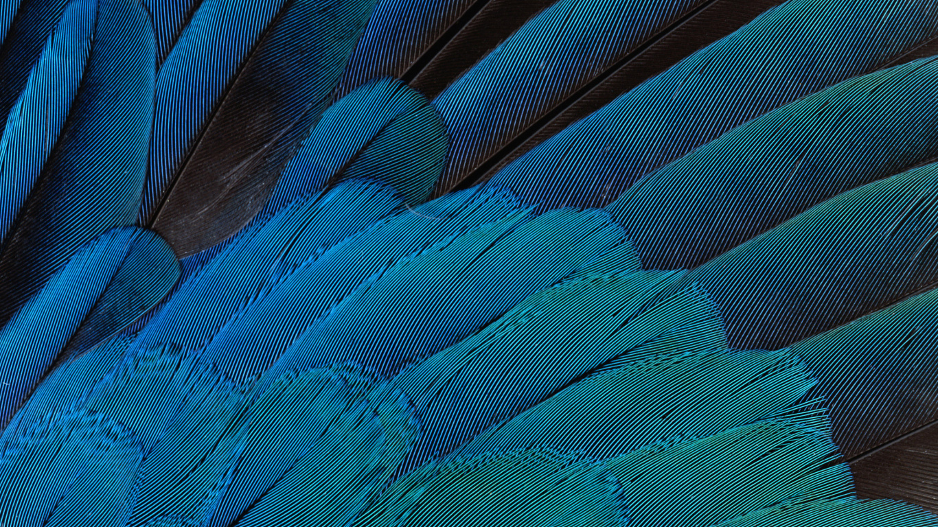 Обои синий, электрик, бирюза, зеленый, лазурный в разрешении 1366x768