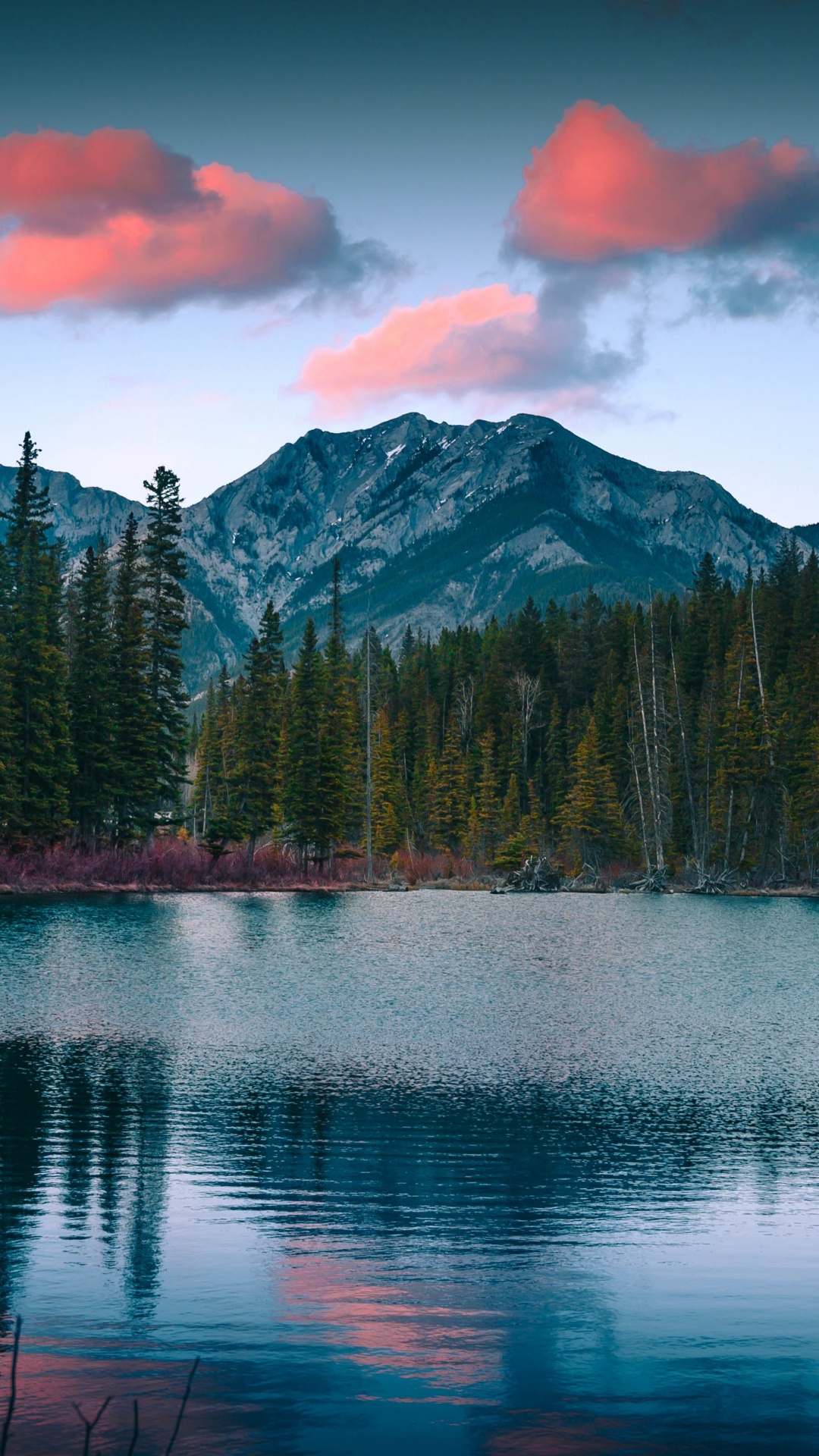 Обои природа, природный ландшафт, пейзаж, вода, облако в разрешении 1080x1920