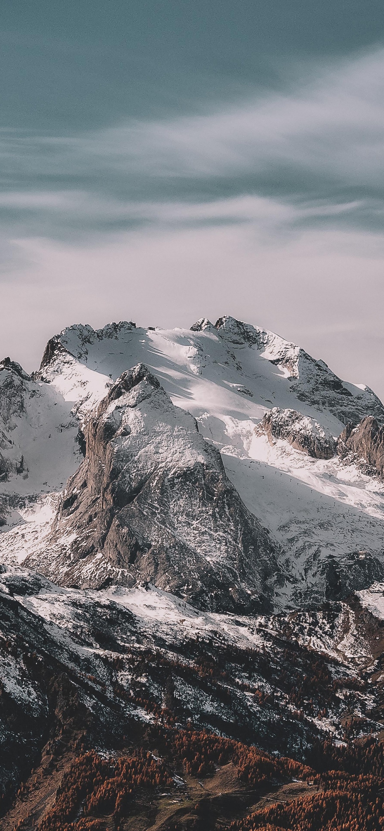Обои томми хилфигер гора, Томми Хилфигер, футболка, облако, гора в разрешении 1242x2688