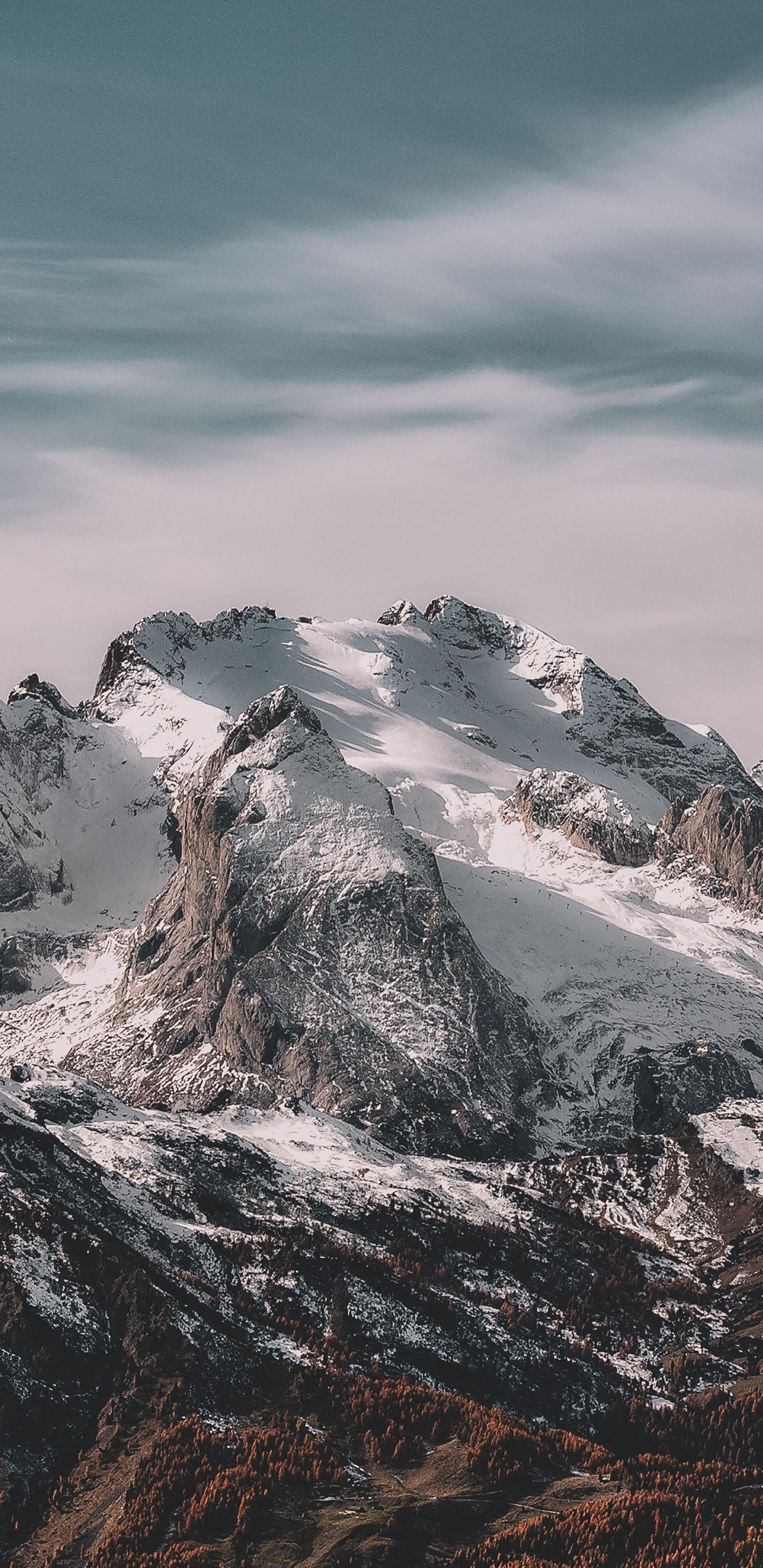 Обои томми хилфигер гора, Томми Хилфигер, футболка, облако, гора в разрешении 1440x2960