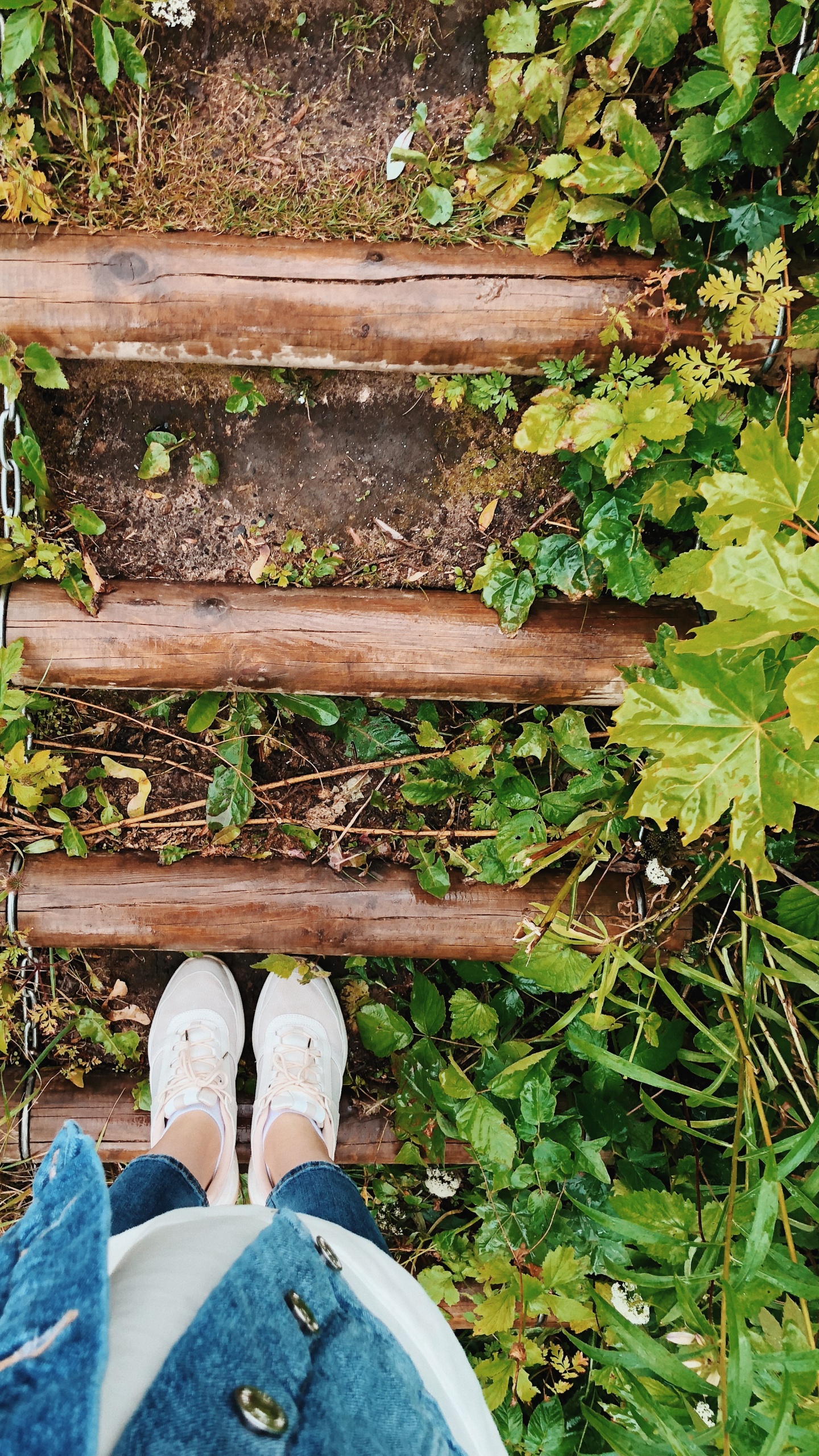 Обои лист, рассада, биология, башмак, джинсовая ткань в разрешении 1440x2560