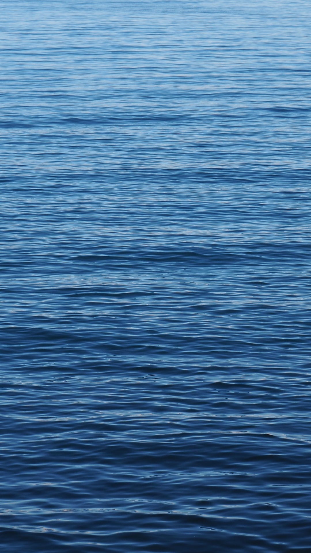 Обои море, общеобразовательный лицей, школа, нк пл, класс в разрешении 1080x1920