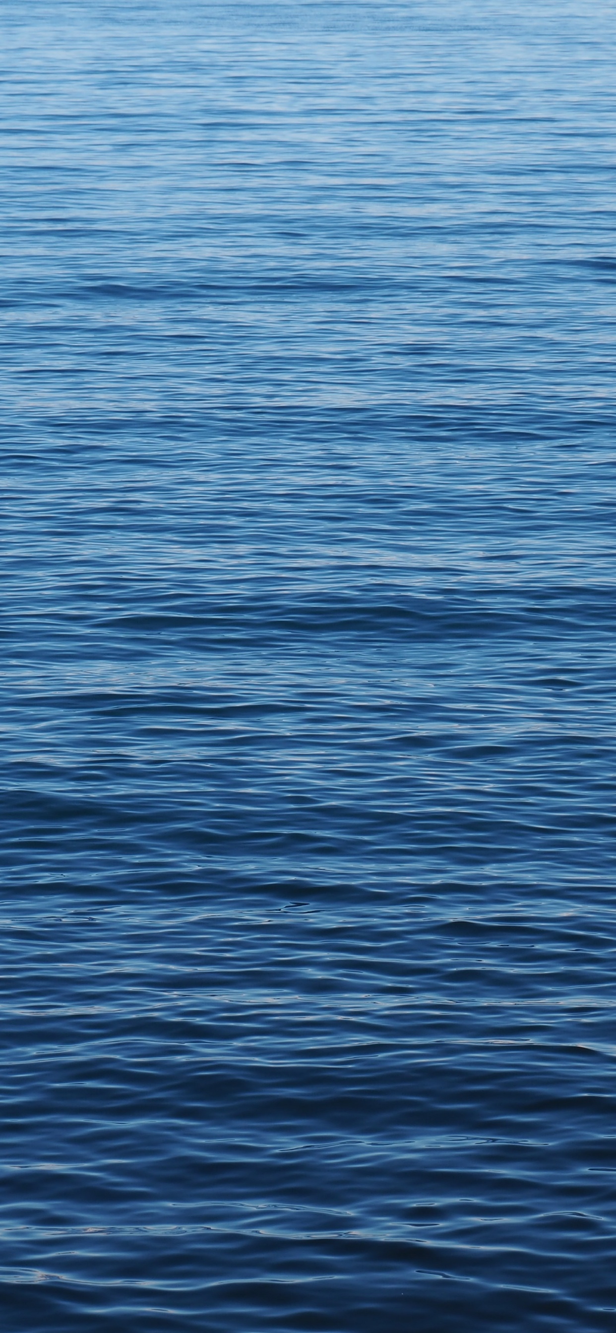 Обои море, общеобразовательный лицей, школа, нк пл, класс в разрешении 1242x2688