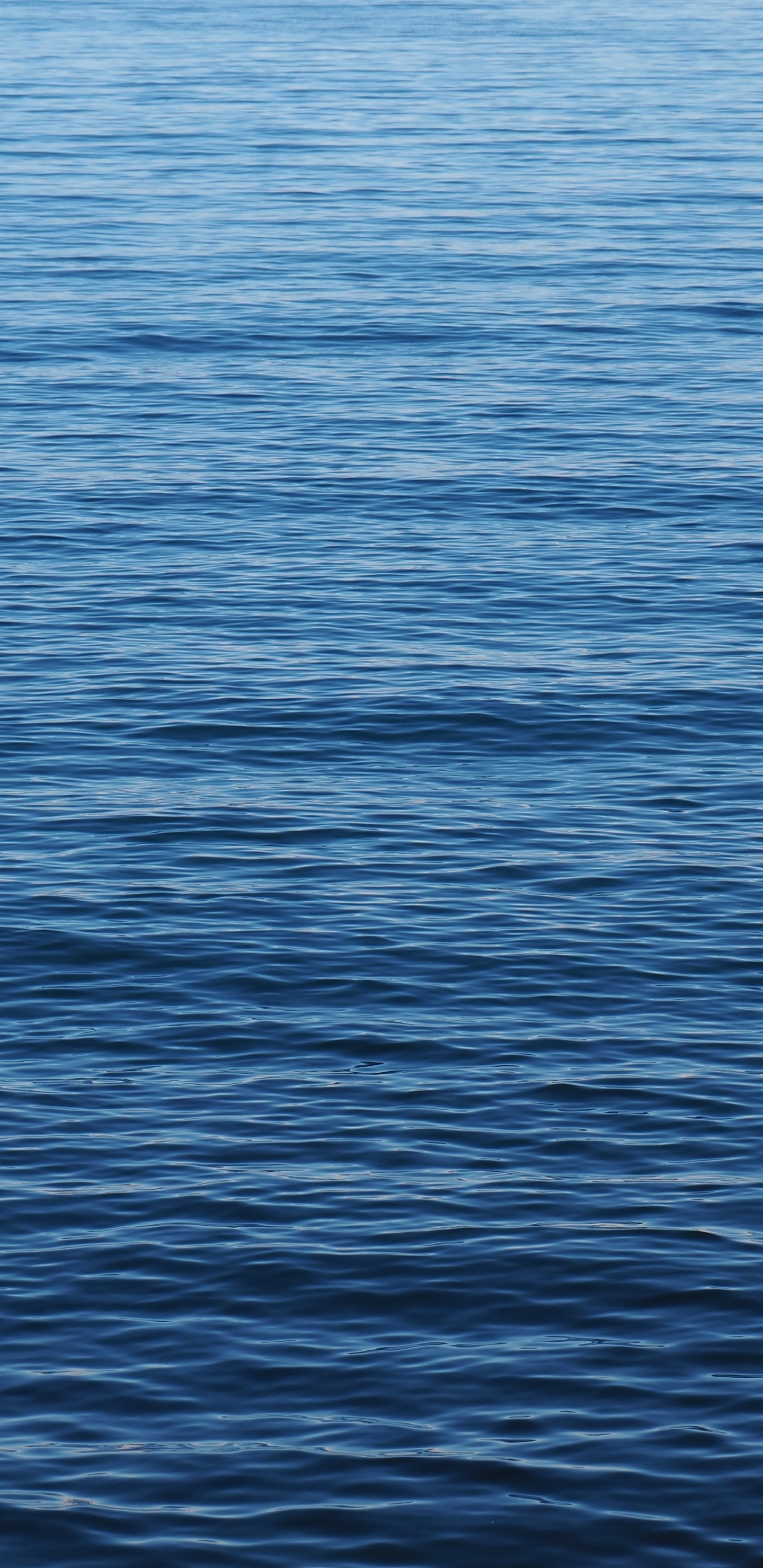 Обои море, общеобразовательный лицей, школа, нк пл, класс в разрешении 1440x2960