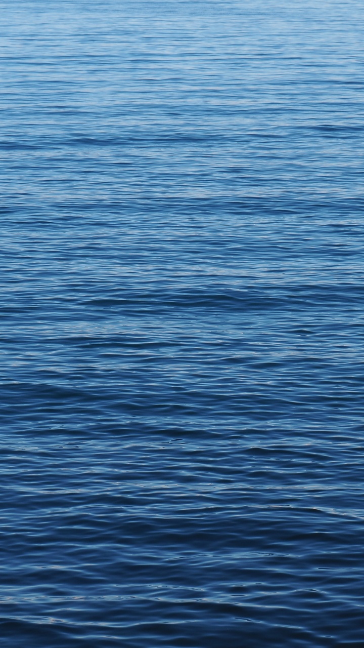 Обои море, общеобразовательный лицей, школа, нк пл, класс в разрешении 720x1280