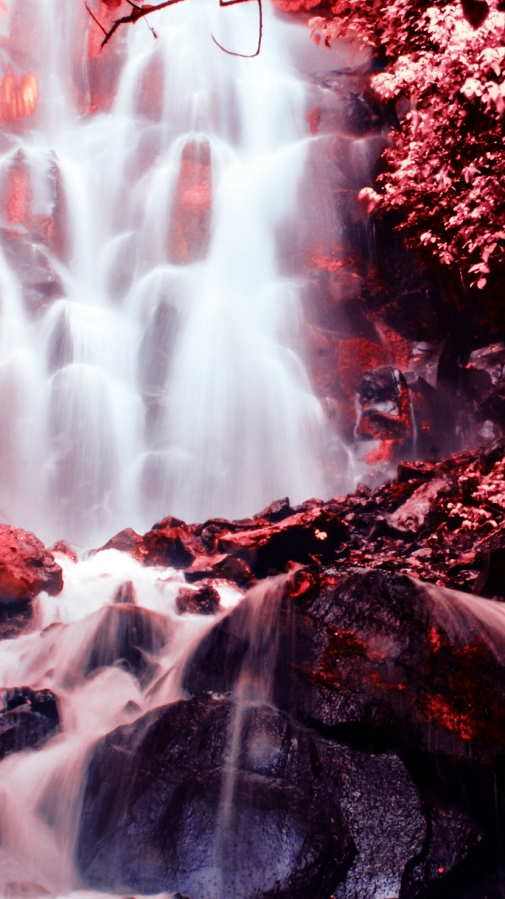 Обои водопад, природа, вода, водоток, дерево в разрешении 720x1280