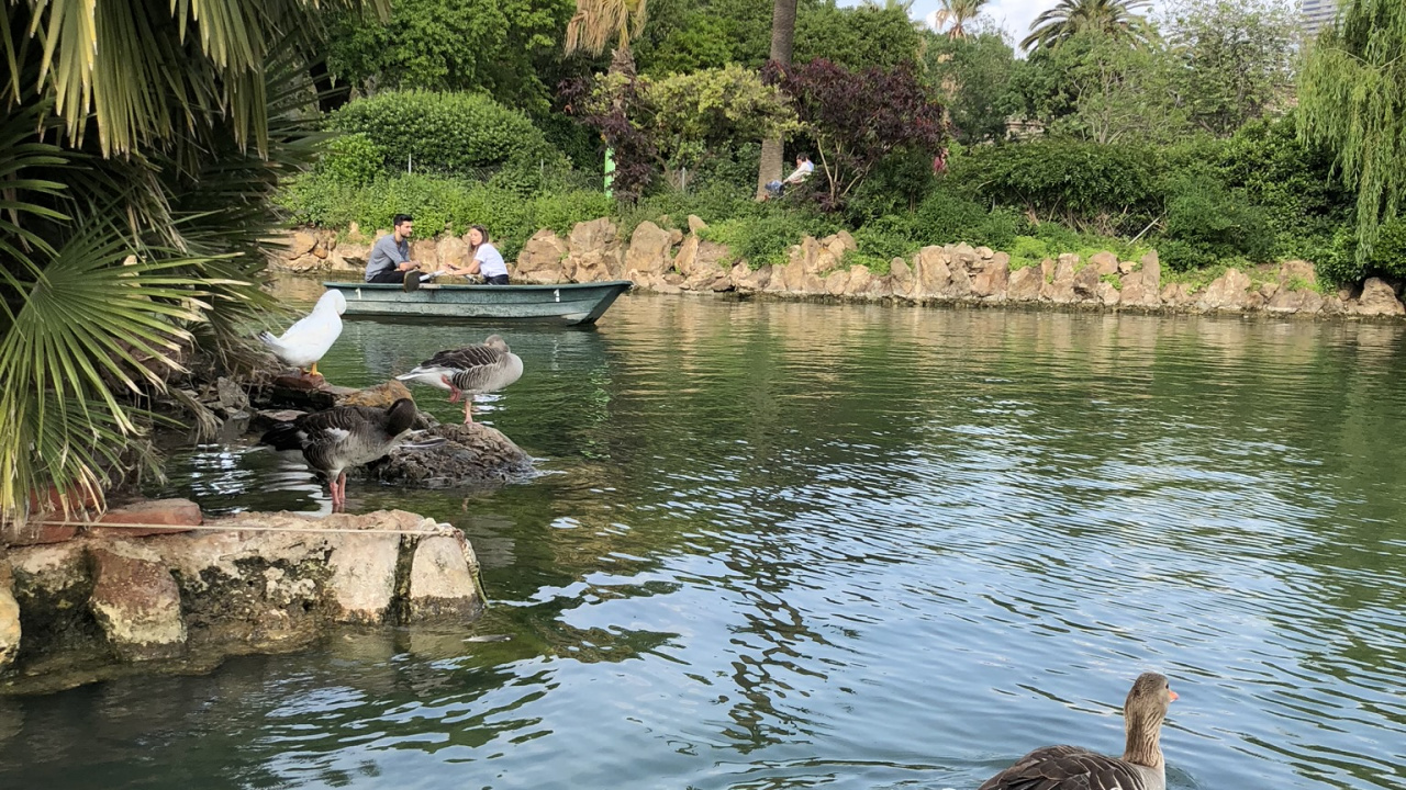 Обои отражение, водоем, гидроресурсы, вода, водный путь в разрешении 1280x720