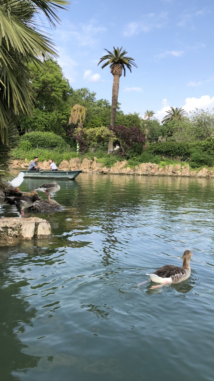 Обои отражение, водоем, гидроресурсы, вода, водный путь в разрешении 720x1280